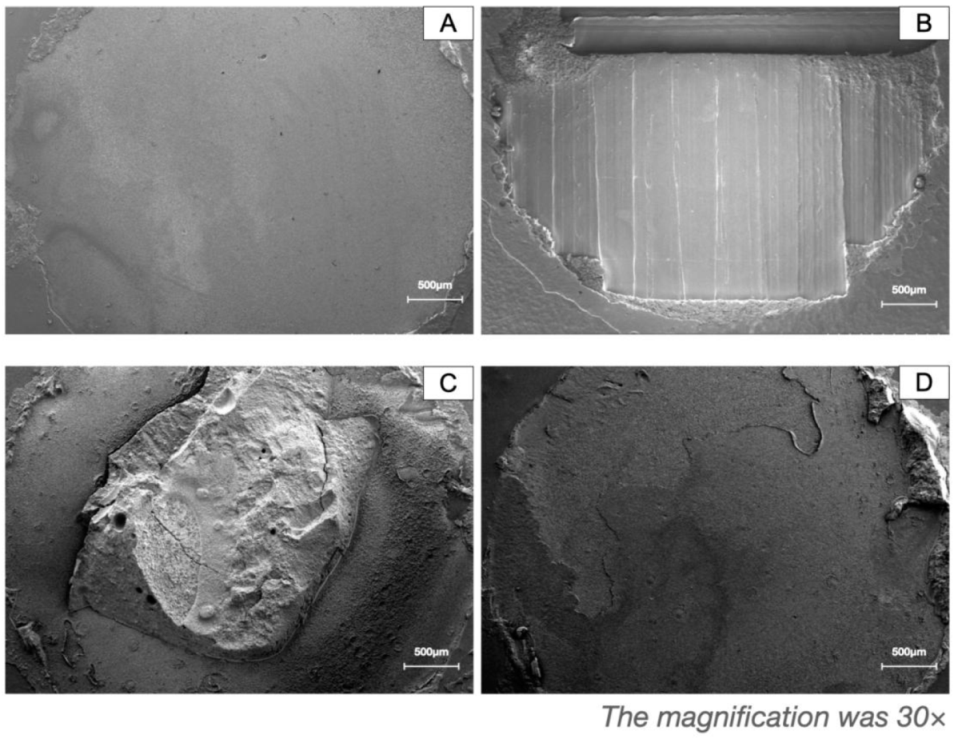 Polymers 13 03509 g007