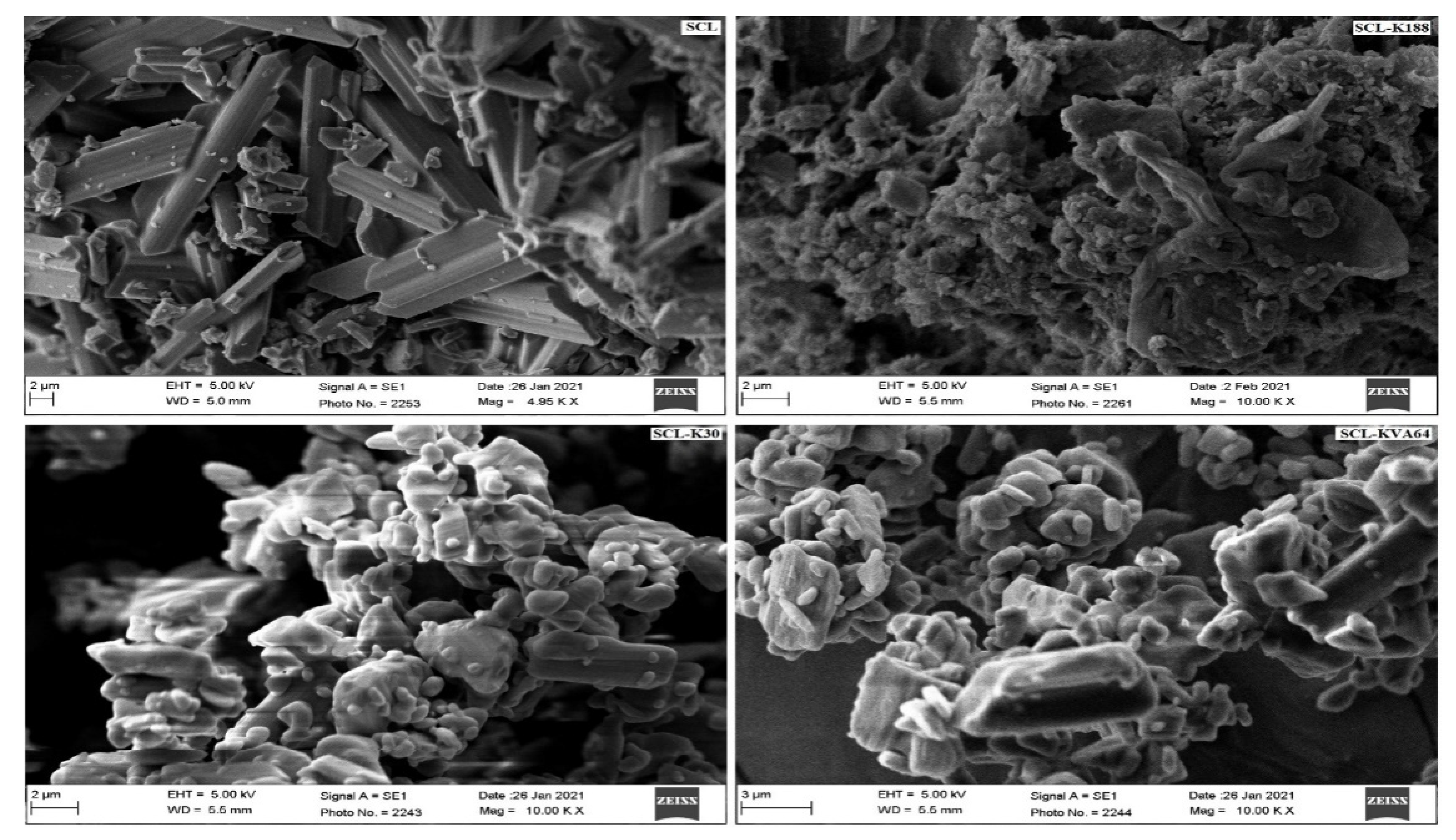 Polymers 13 03512 g005