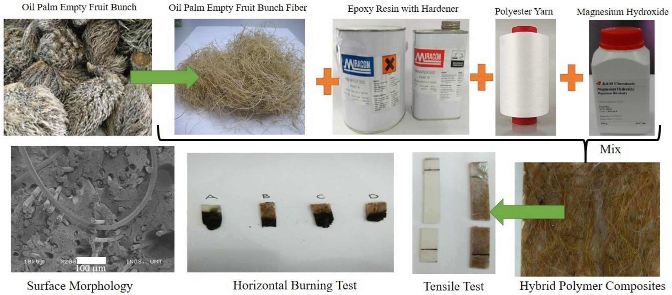 Polymers 13 03514 g005