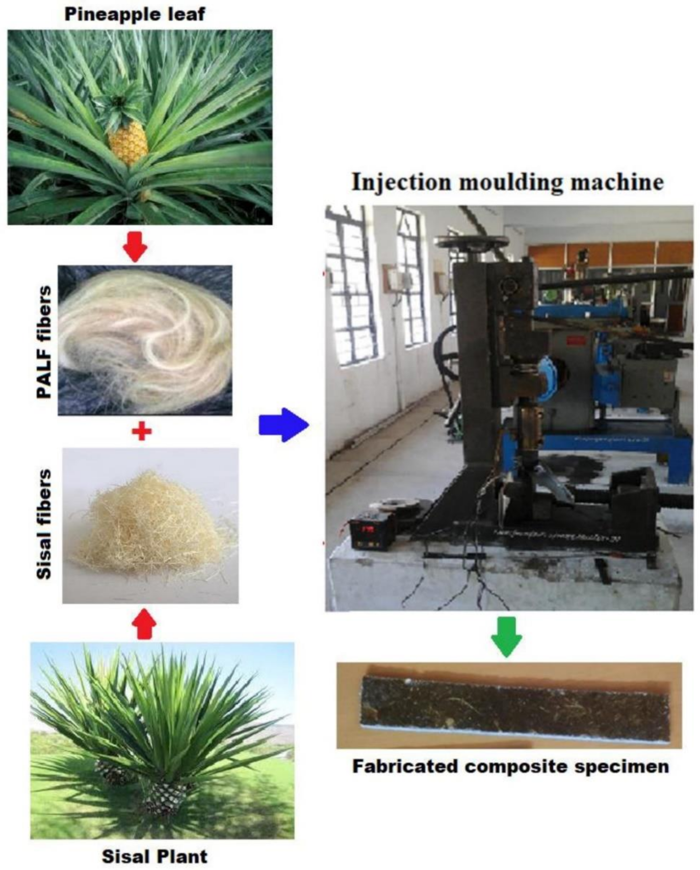 Polymers 13 03514 g006