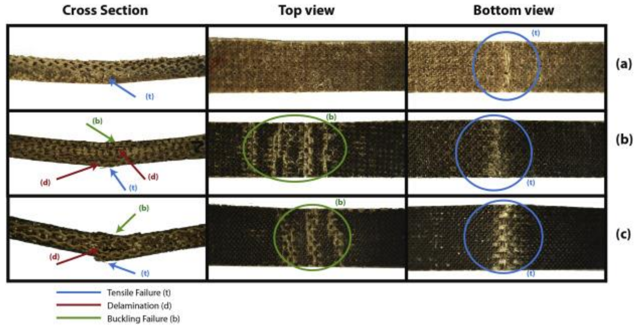 Polymers 13 03514 g011