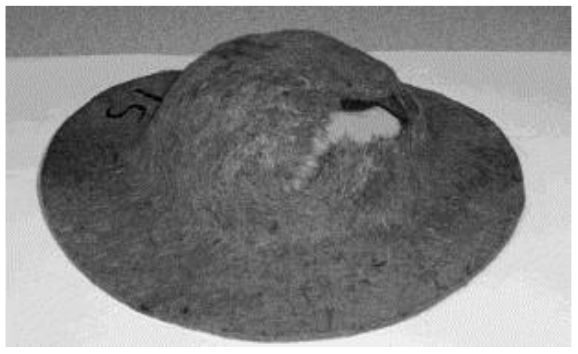 Polymers 13 03514 g017