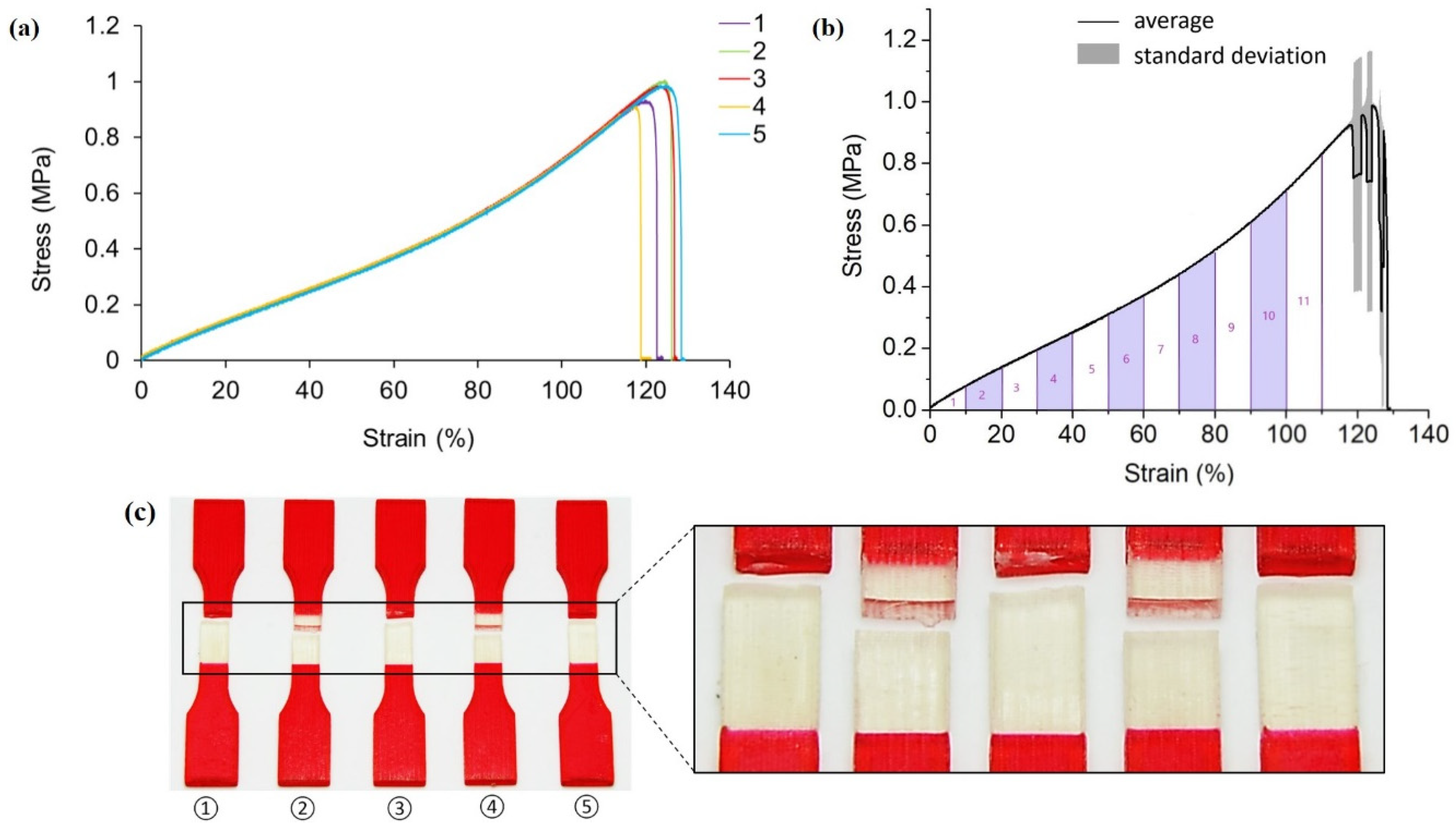 Polymers 13 03516 g004