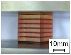 Polymers 13 03516 i004