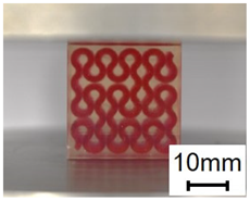 Polymers 13 03516 i005