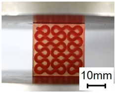 Polymers 13 03516 i006