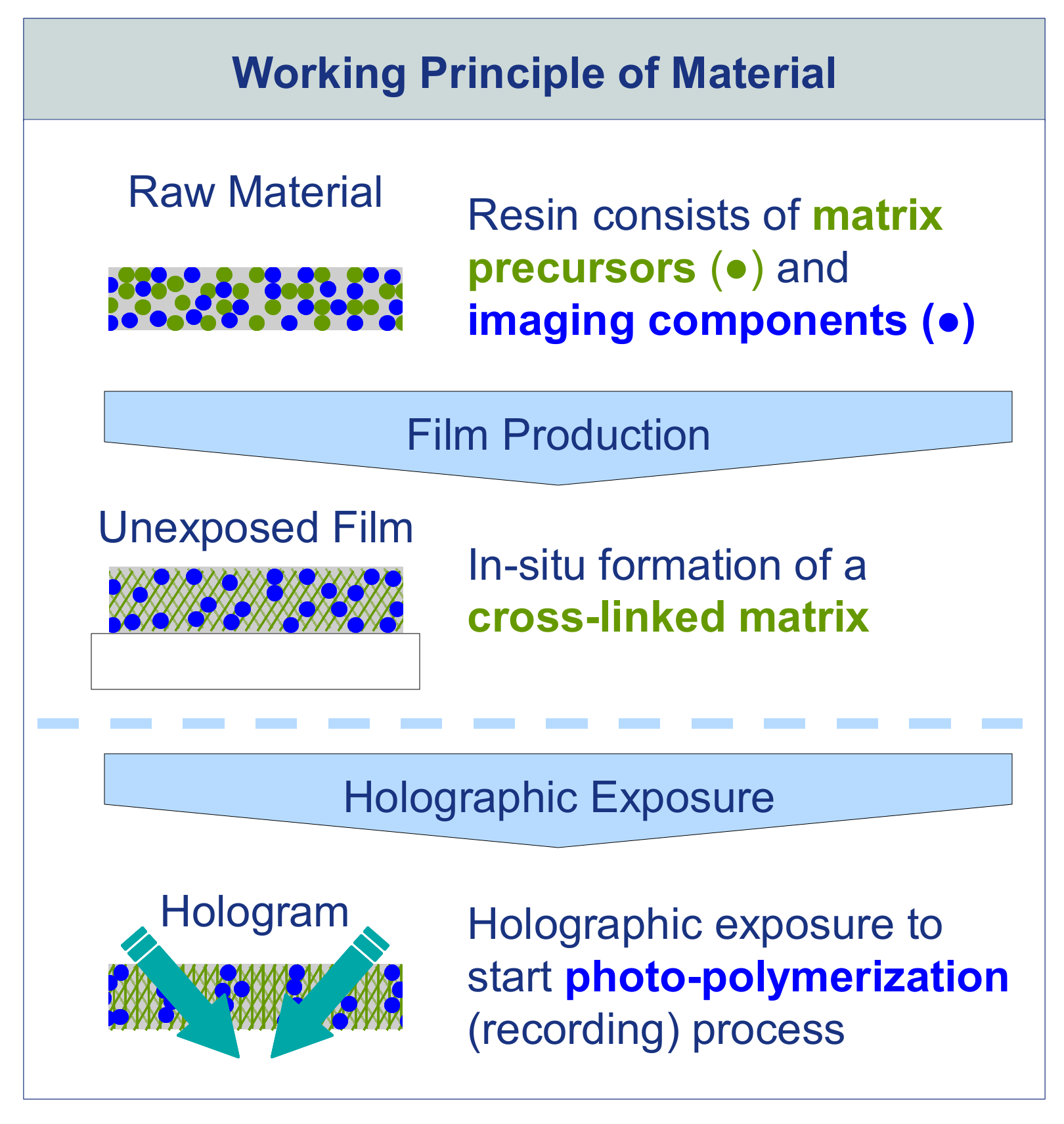 Polymers 13 03517 g001