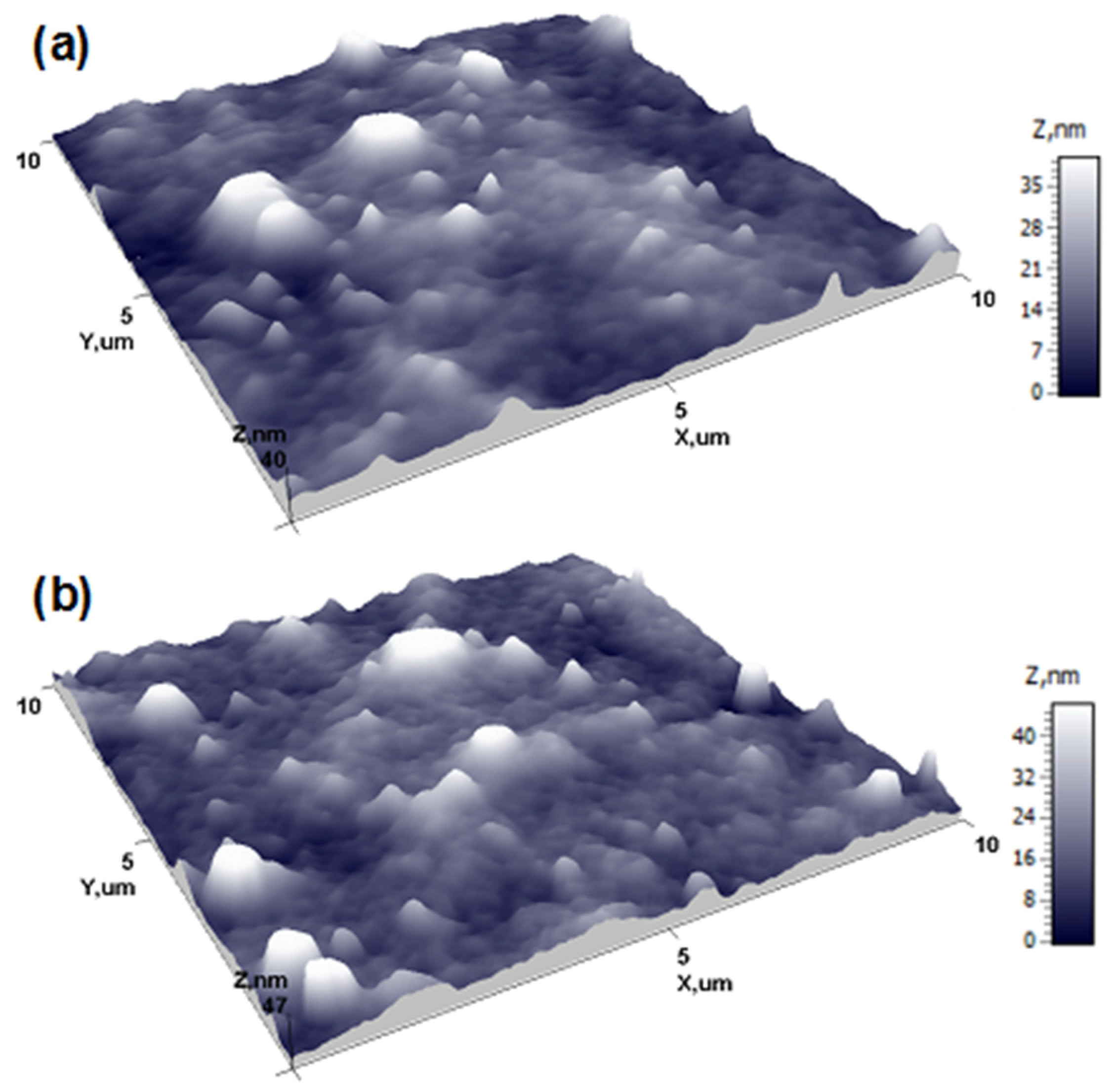 Polymers 13 03519 g003