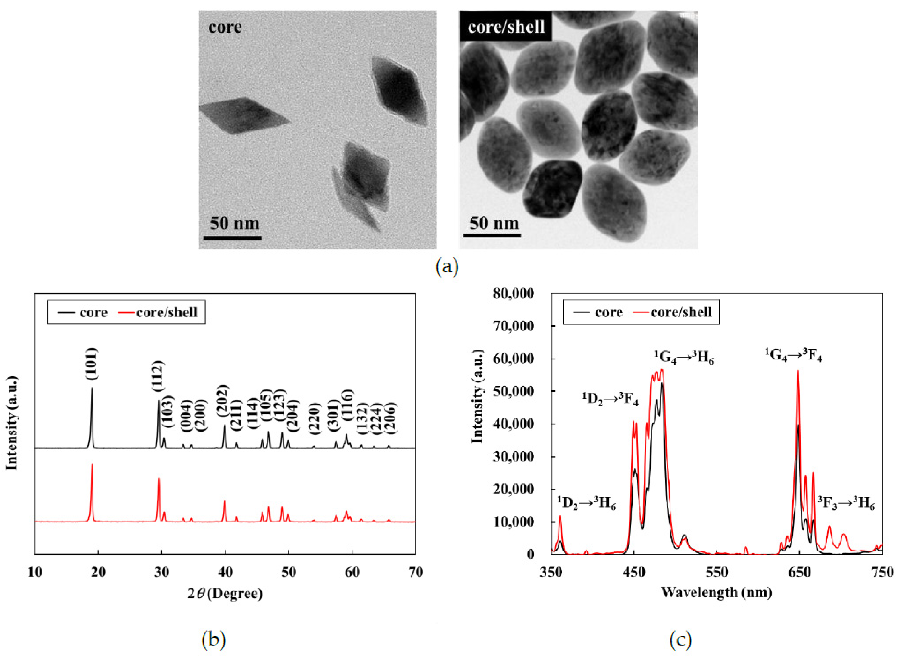 Polymers 13 03522 g001