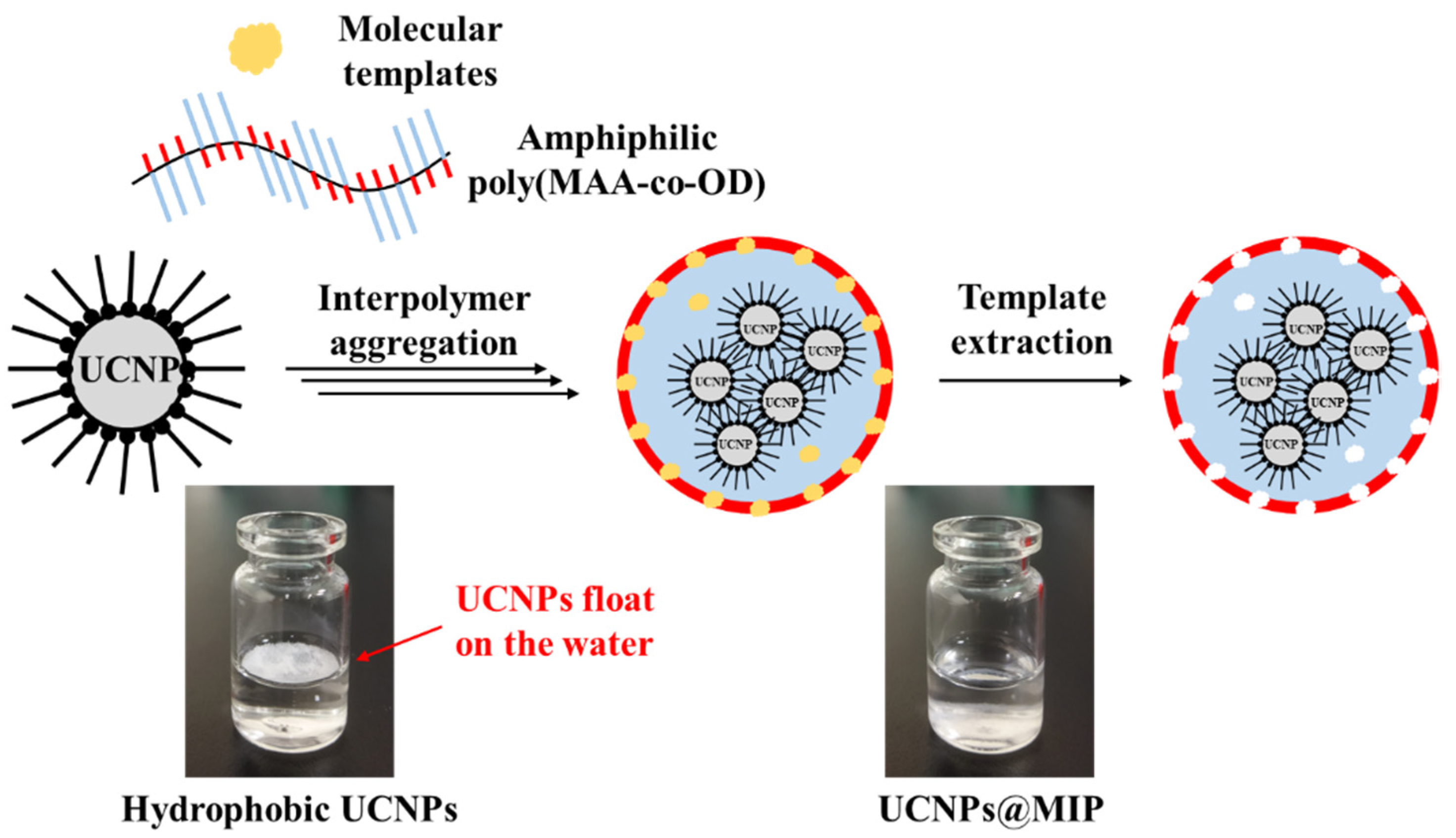 Polymers 13 03522 g002