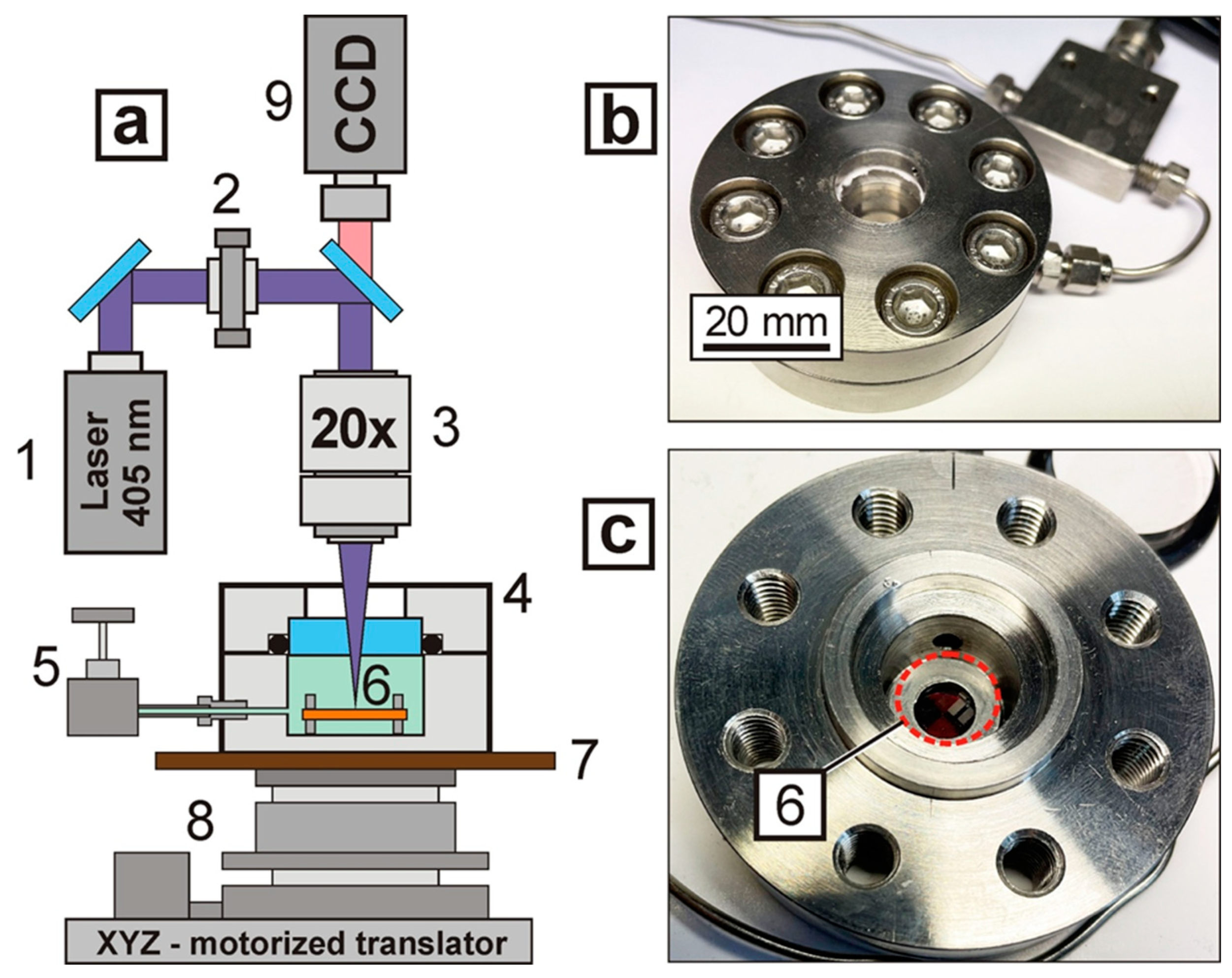 Polymers 13 03525 g001