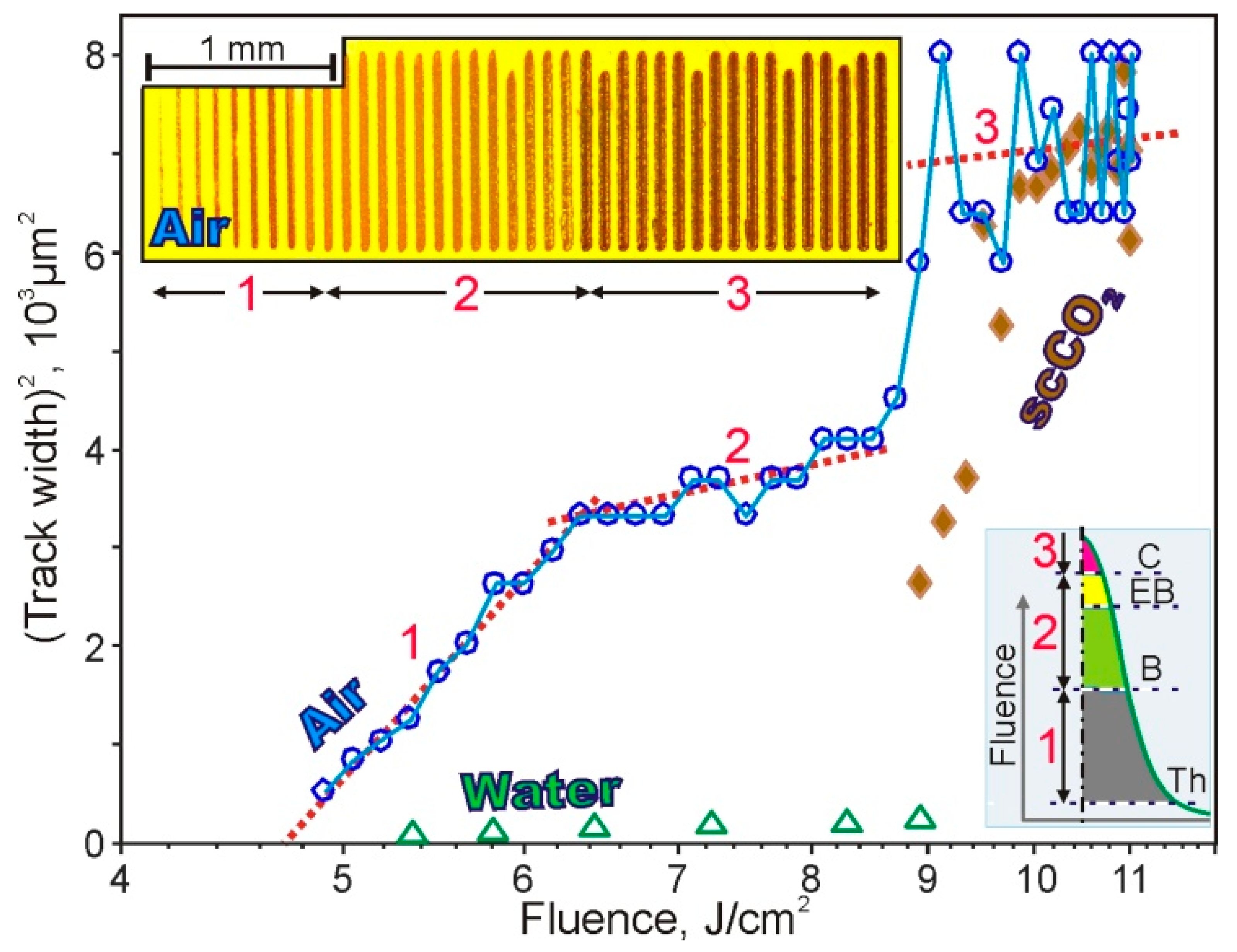 Polymers 13 03525 g003