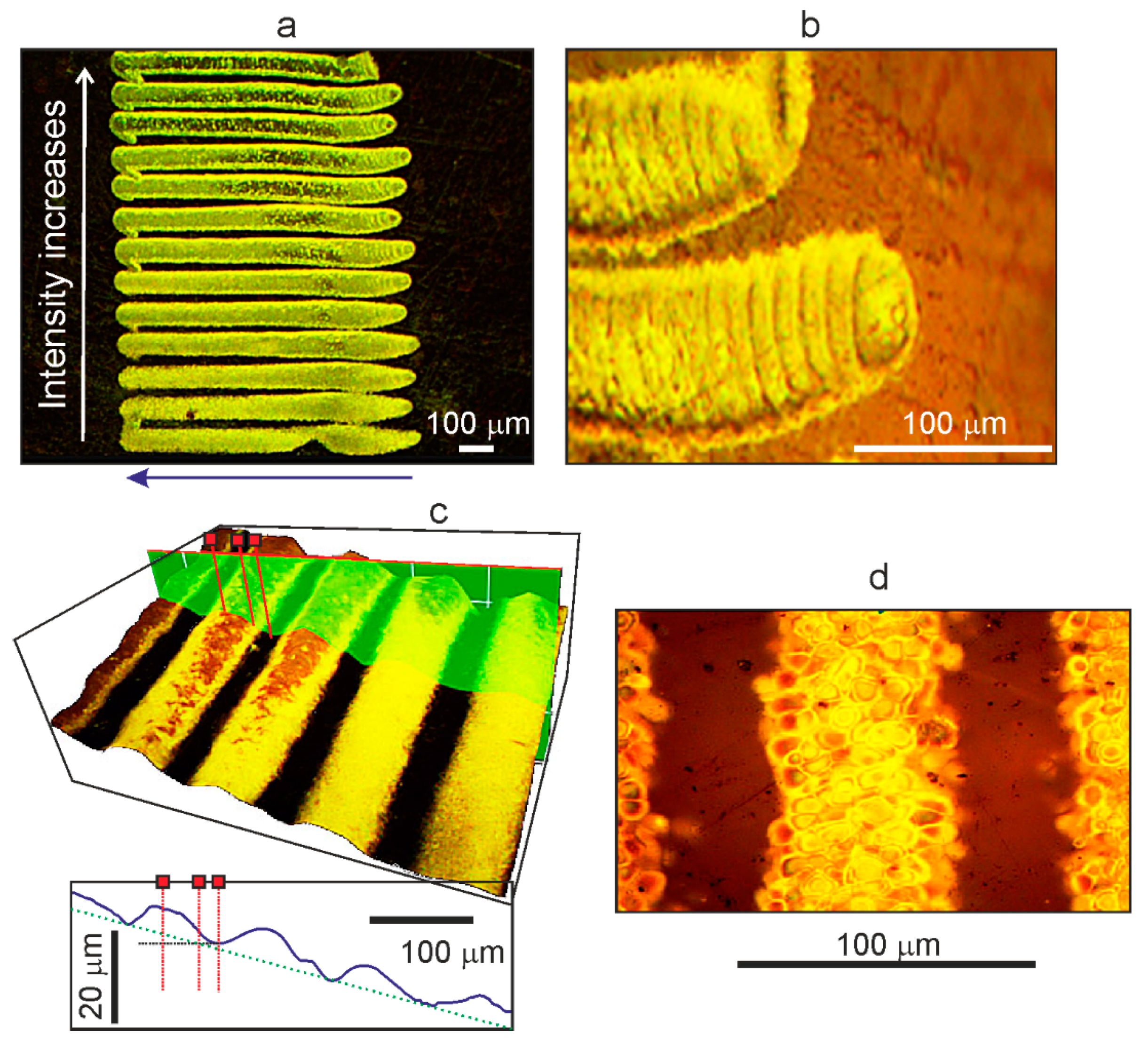 Polymers 13 03525 g004