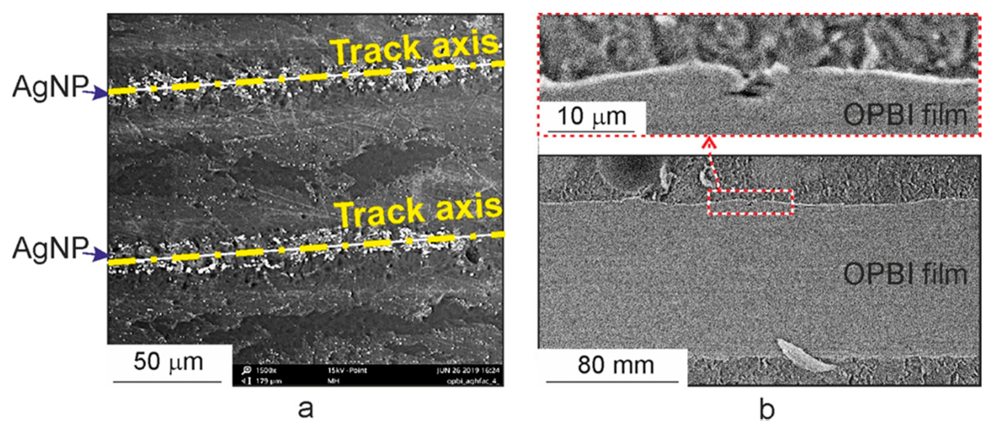 Polymers 13 03525 g005