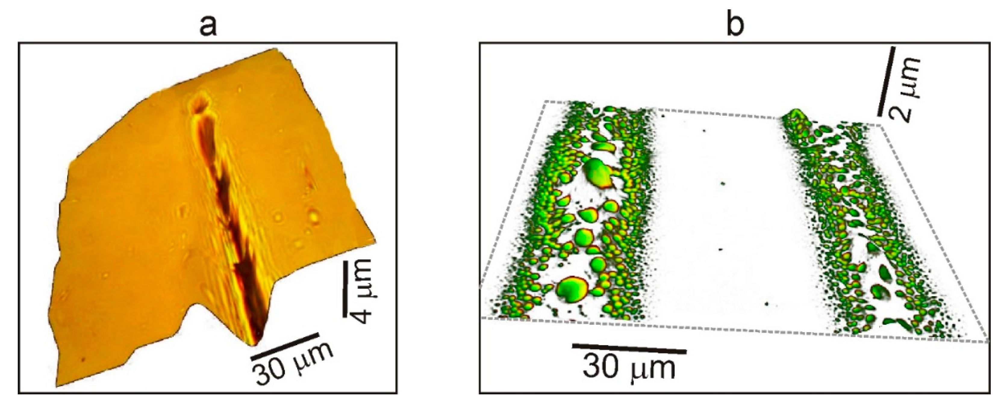 Polymers 13 03525 g007
