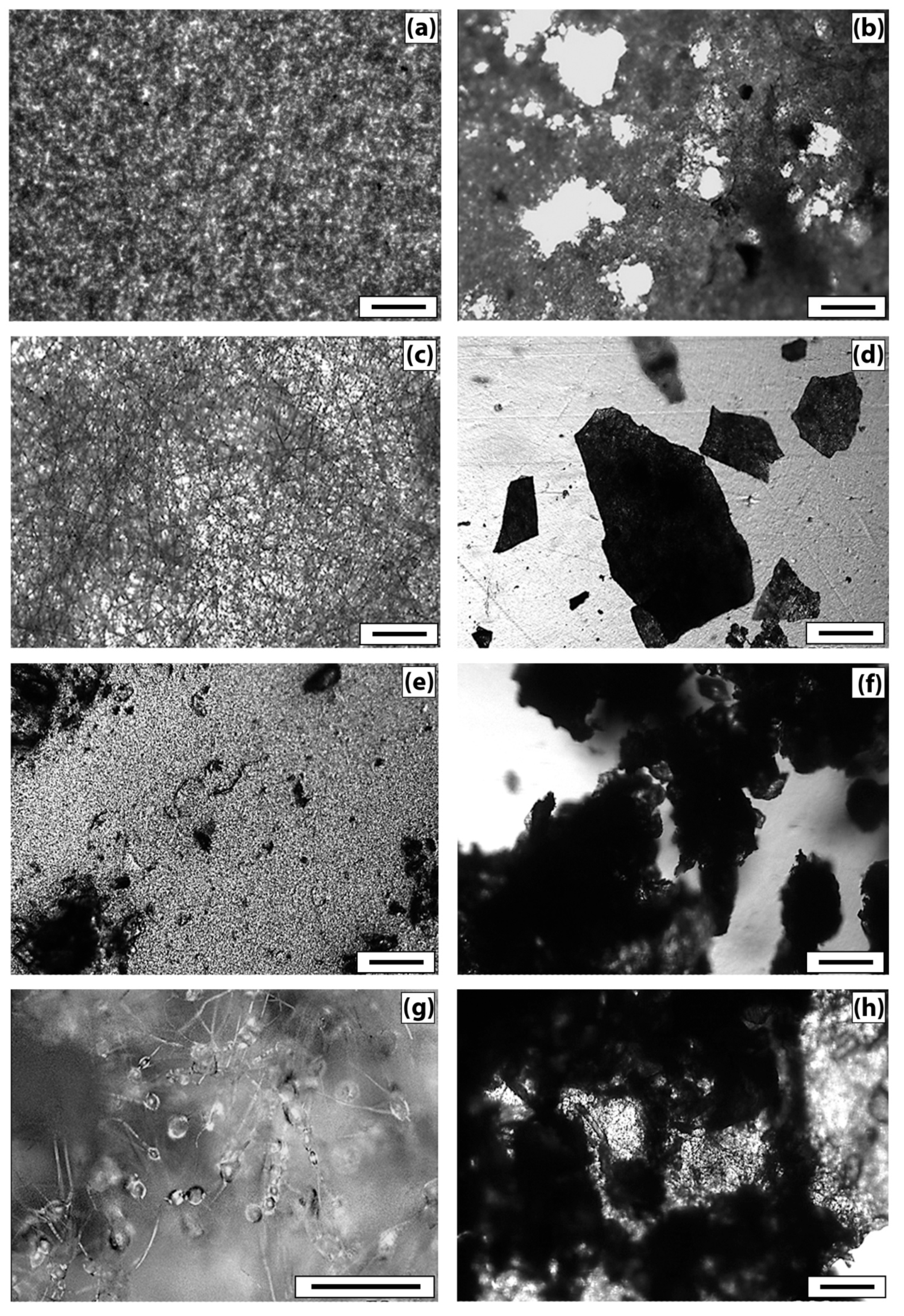 Polymers 13 03528 g005