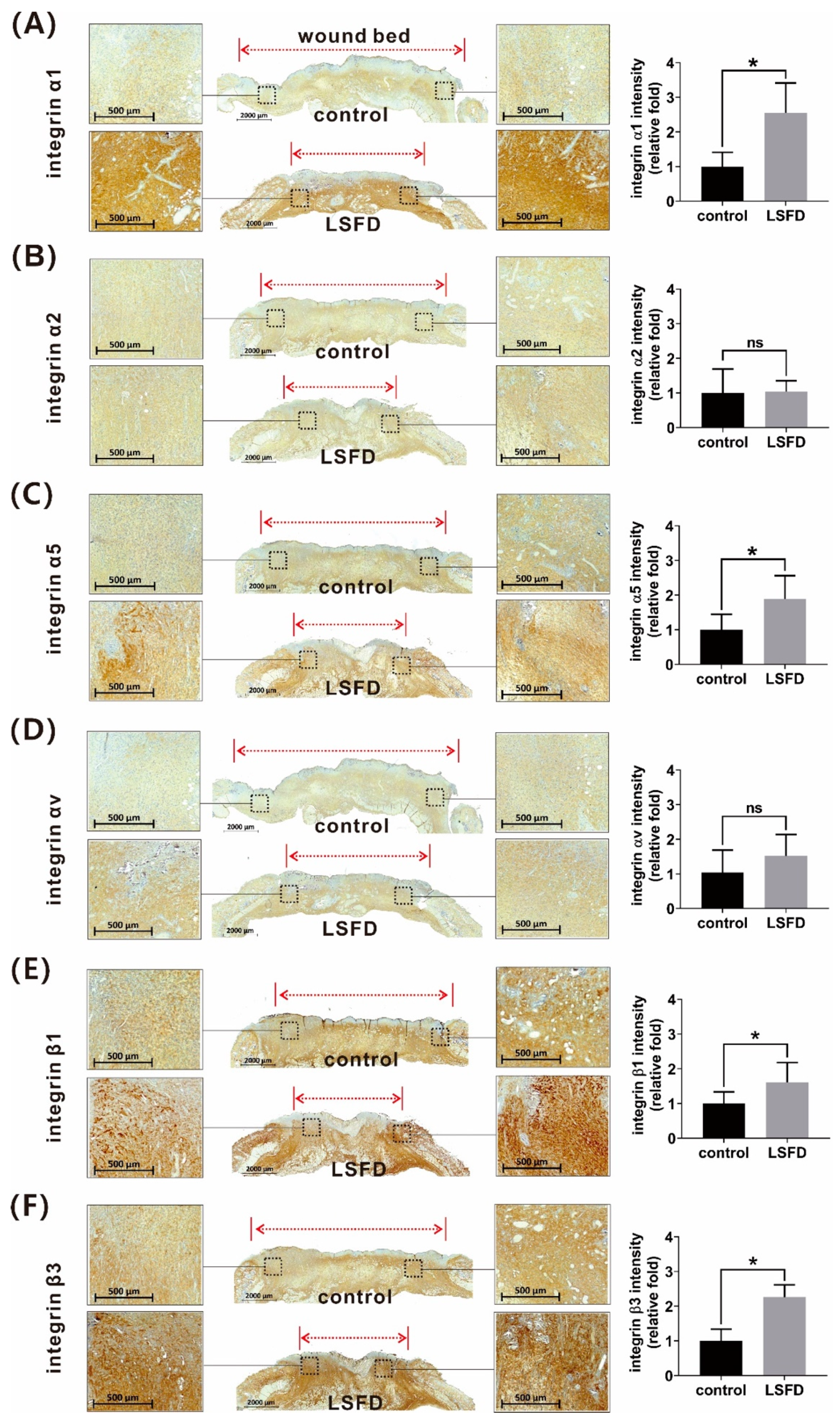 Polymers 13 03537 g007