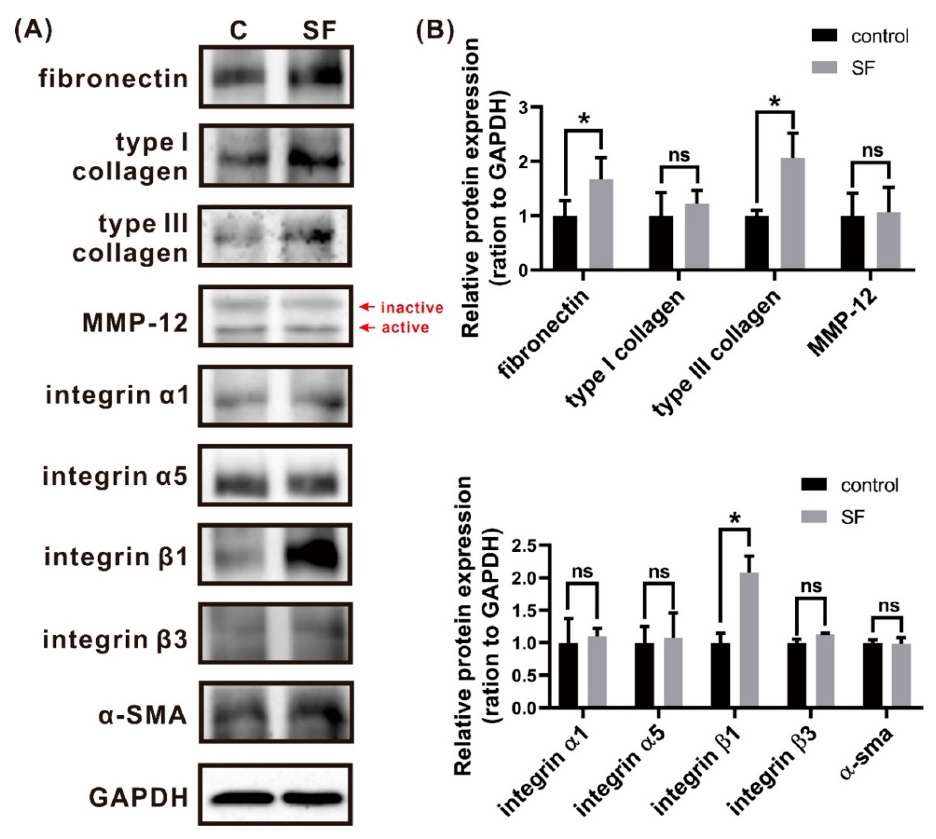 Polymers 13 03537 g009