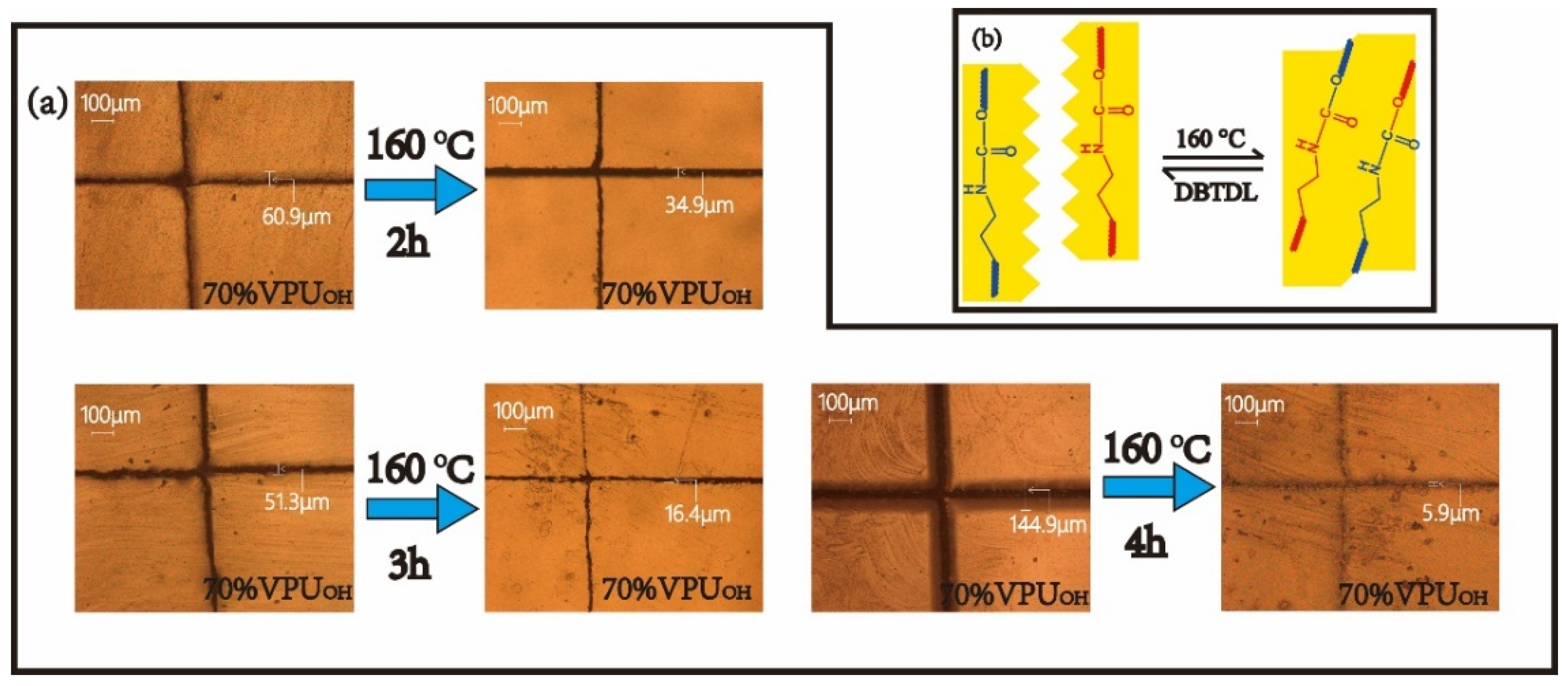 Polymers 13 03538 g006