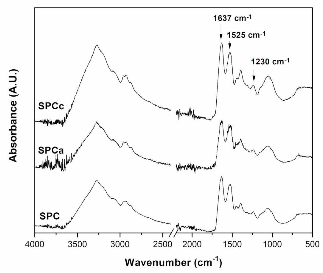 Polymers 13 03540 g002