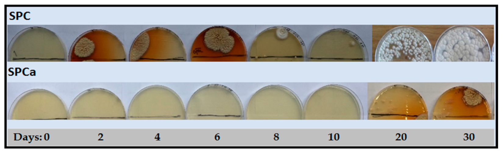 Polymers 13 03540 g005