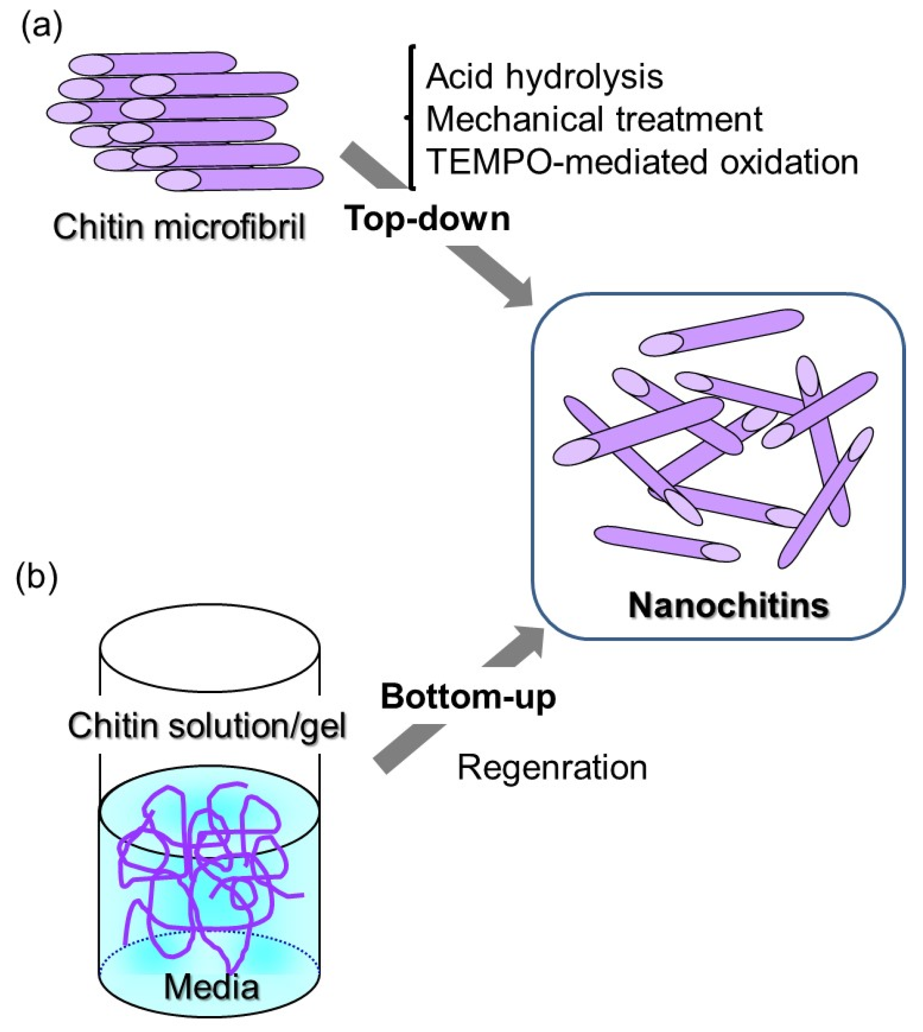 Polymers 13 03548 g002