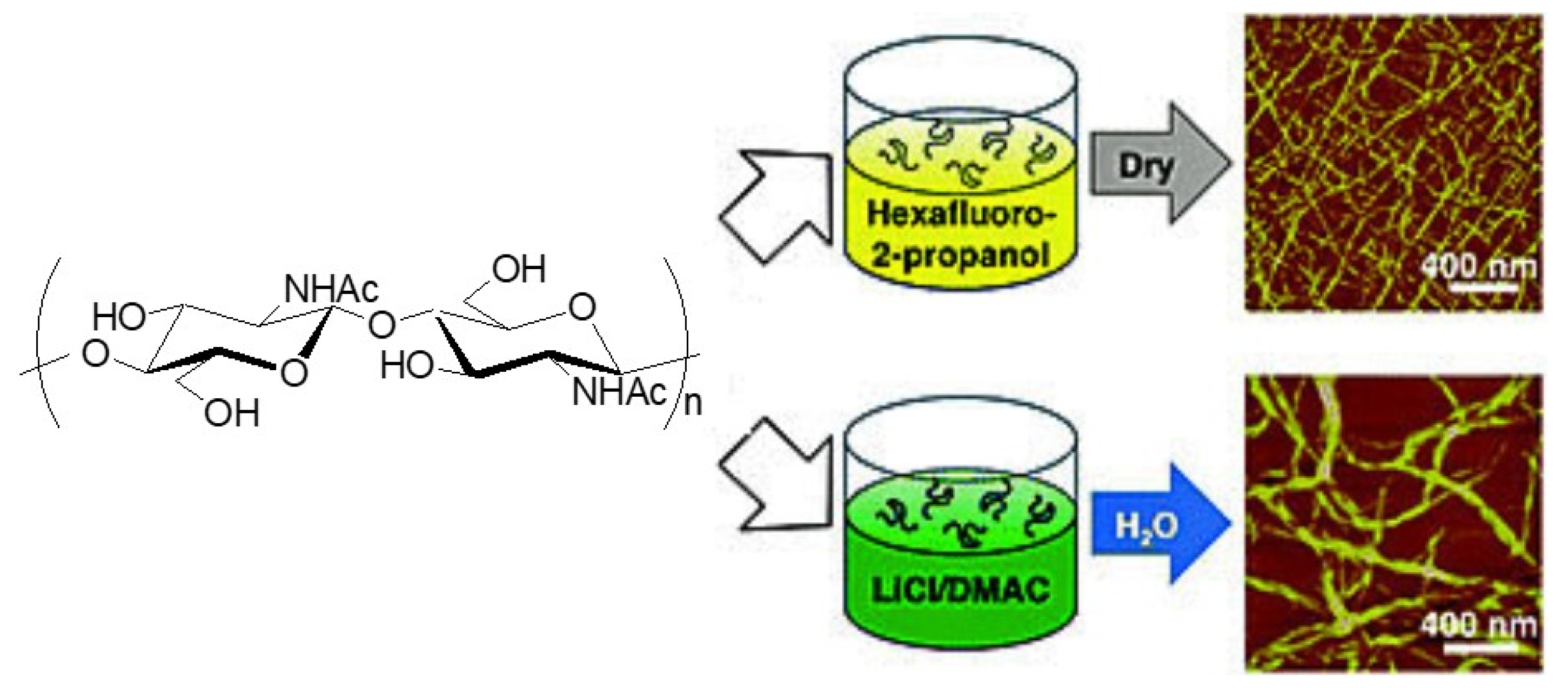 Polymers 13 03548 g003