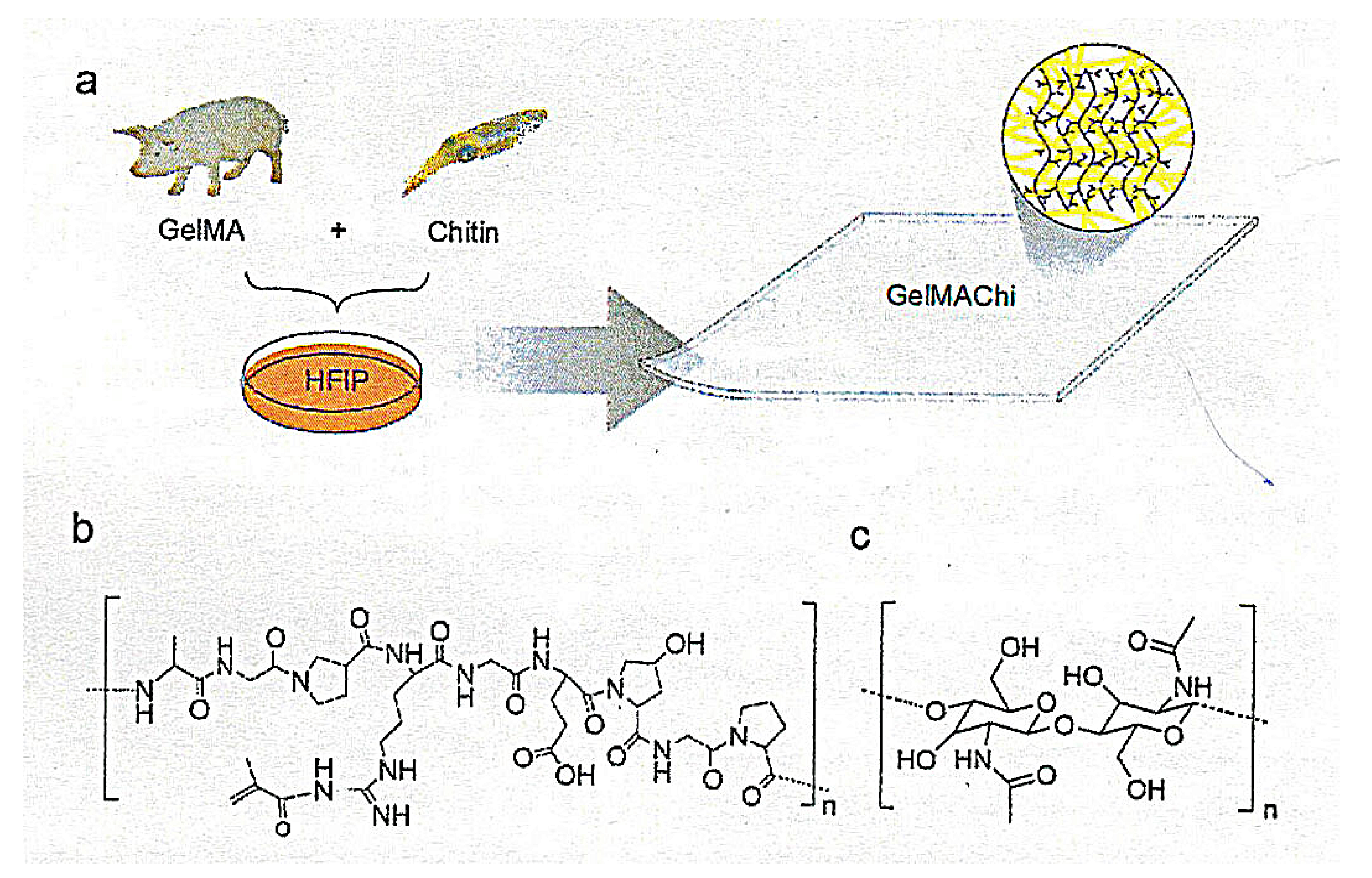 Polymers 13 03548 g006