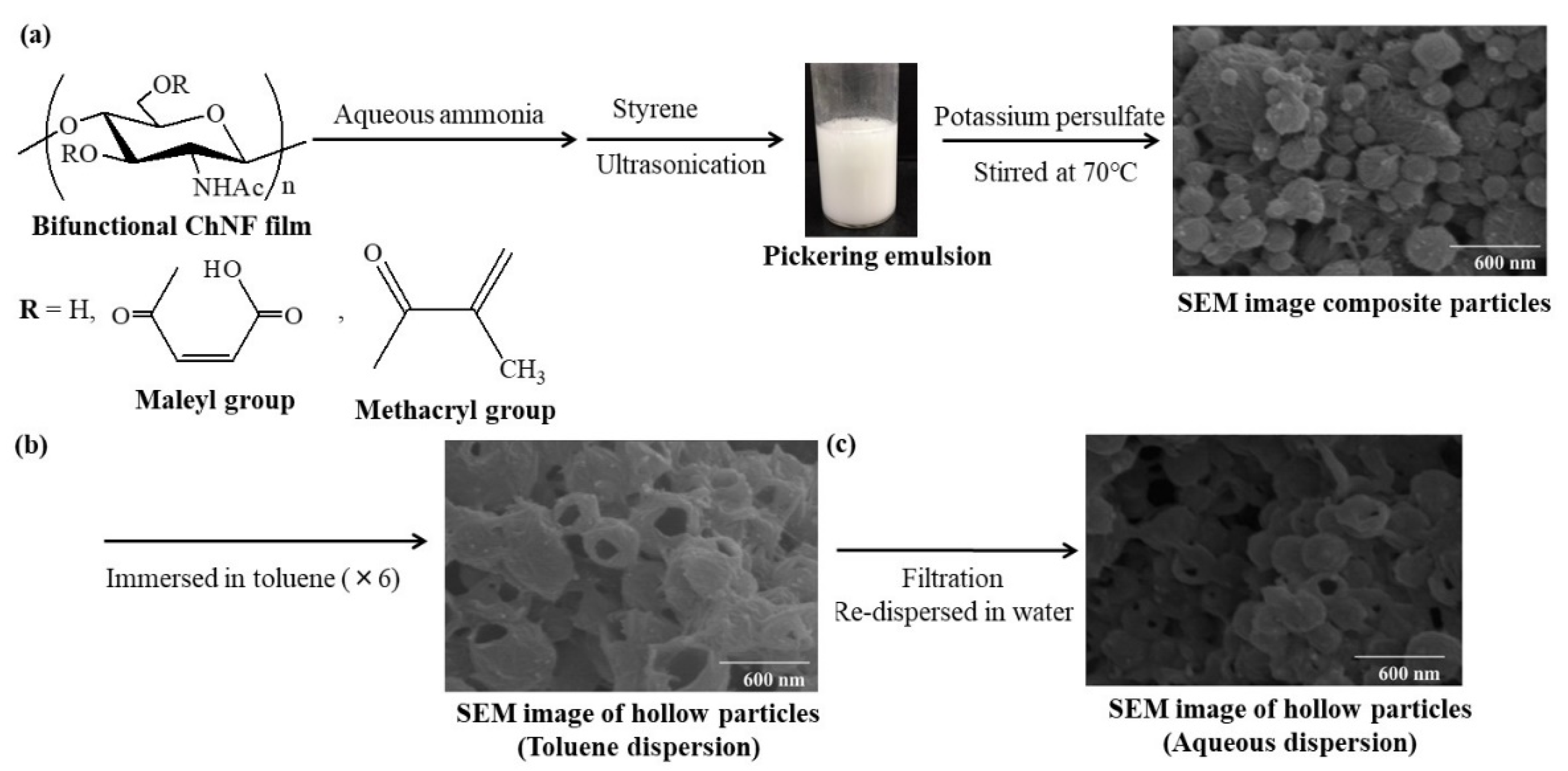 Polymers 13 03548 g007