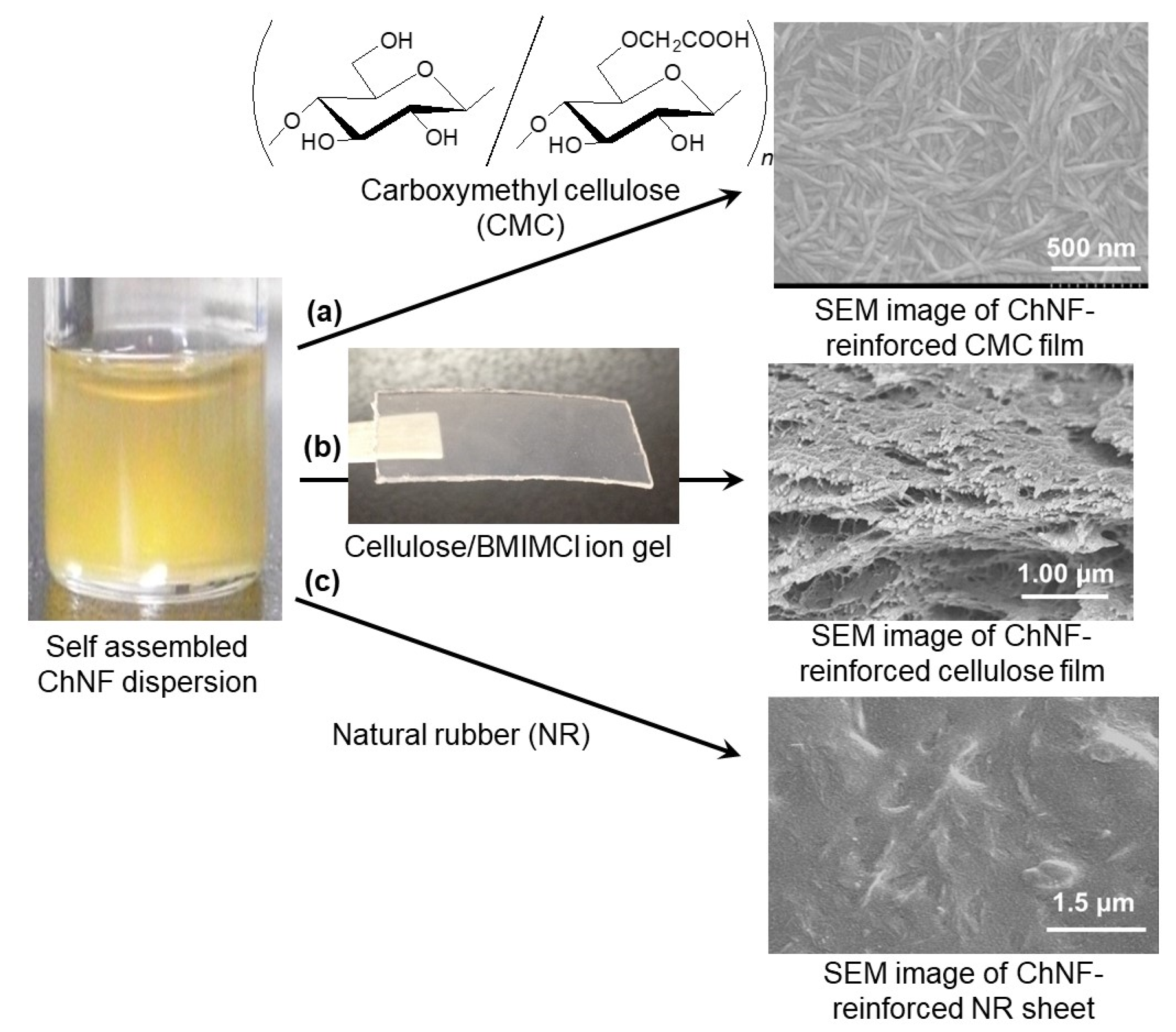 Polymers 13 03548 g008