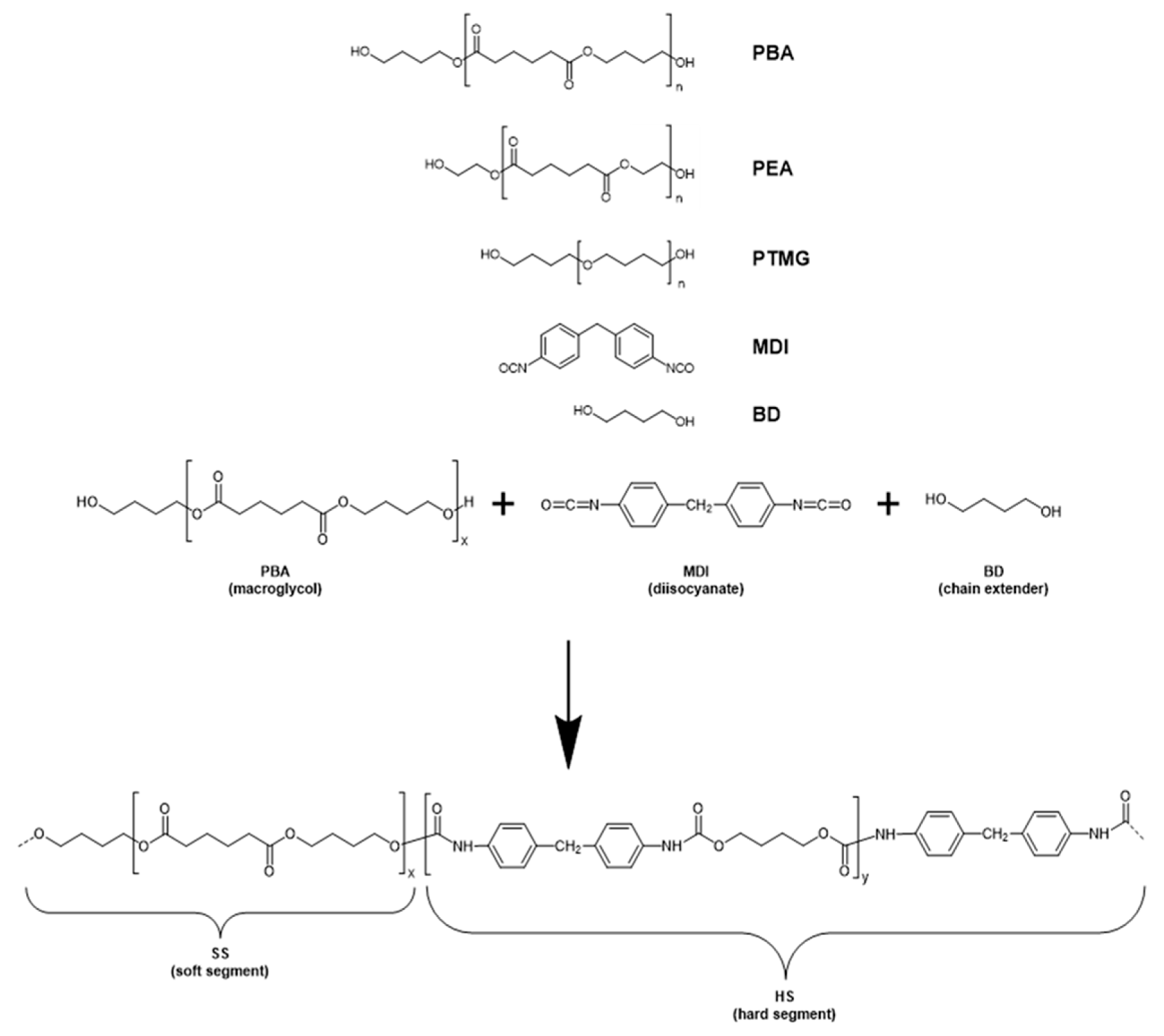 Polymers 13 03551 g003