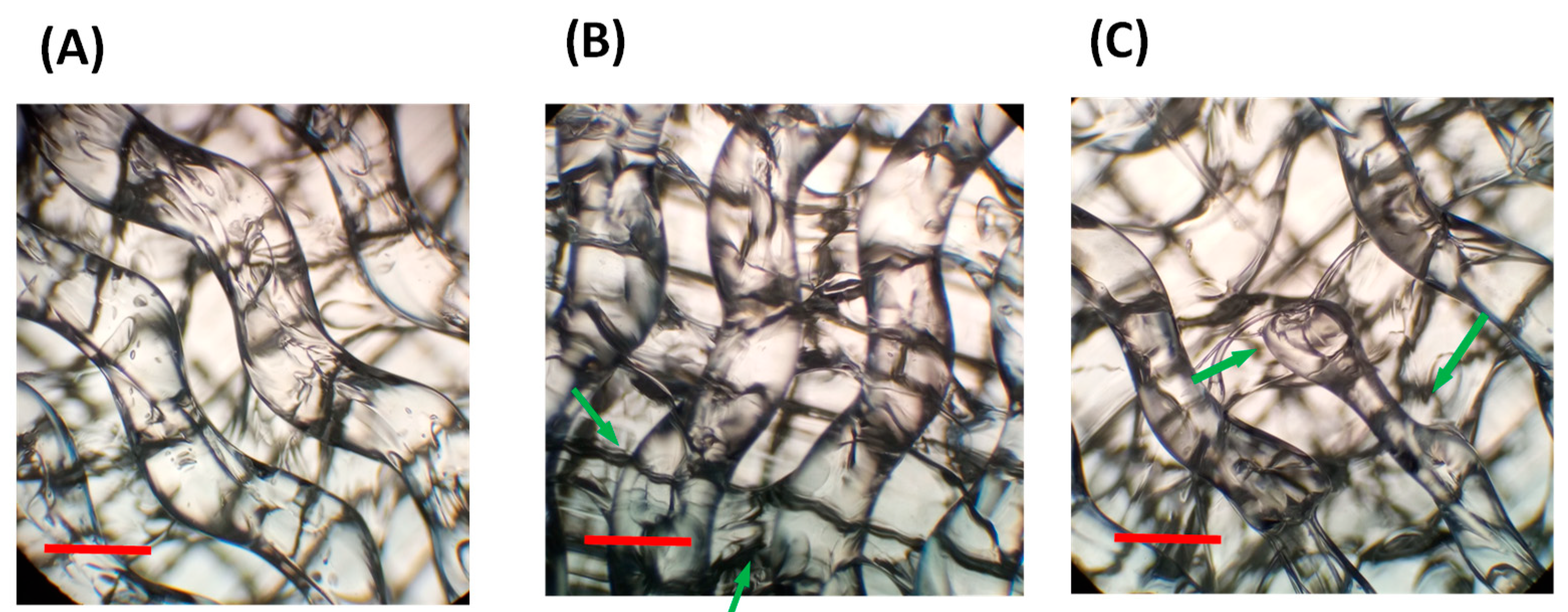 Polymers 13 03551 g006