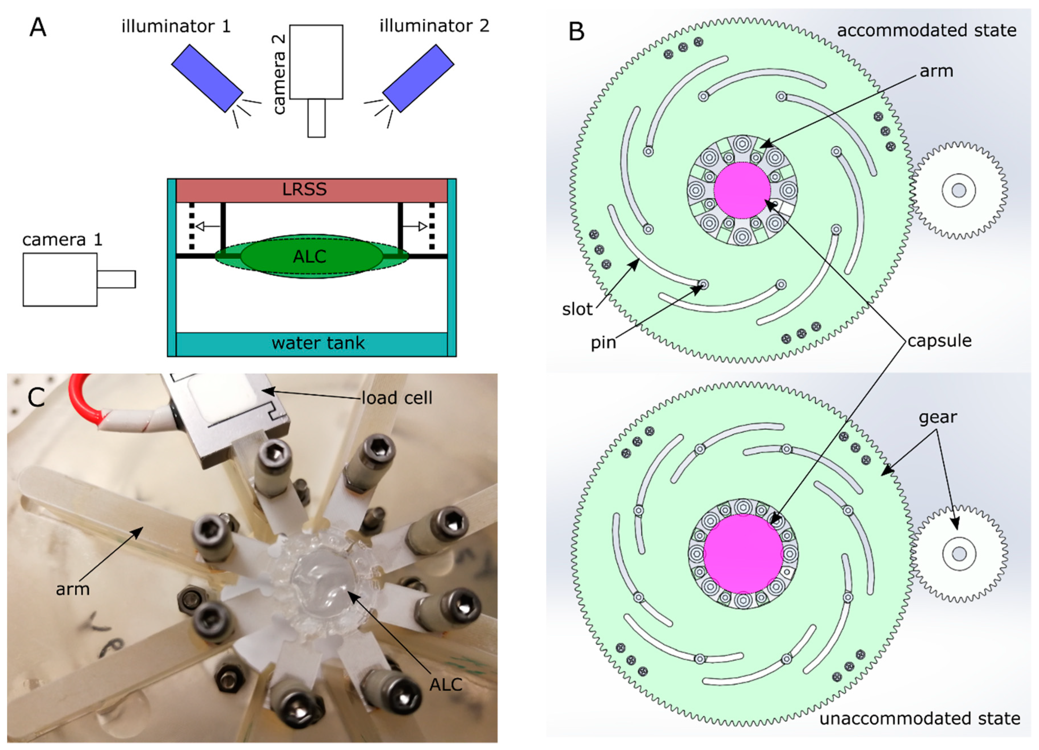 Polymers 13 03552 g003