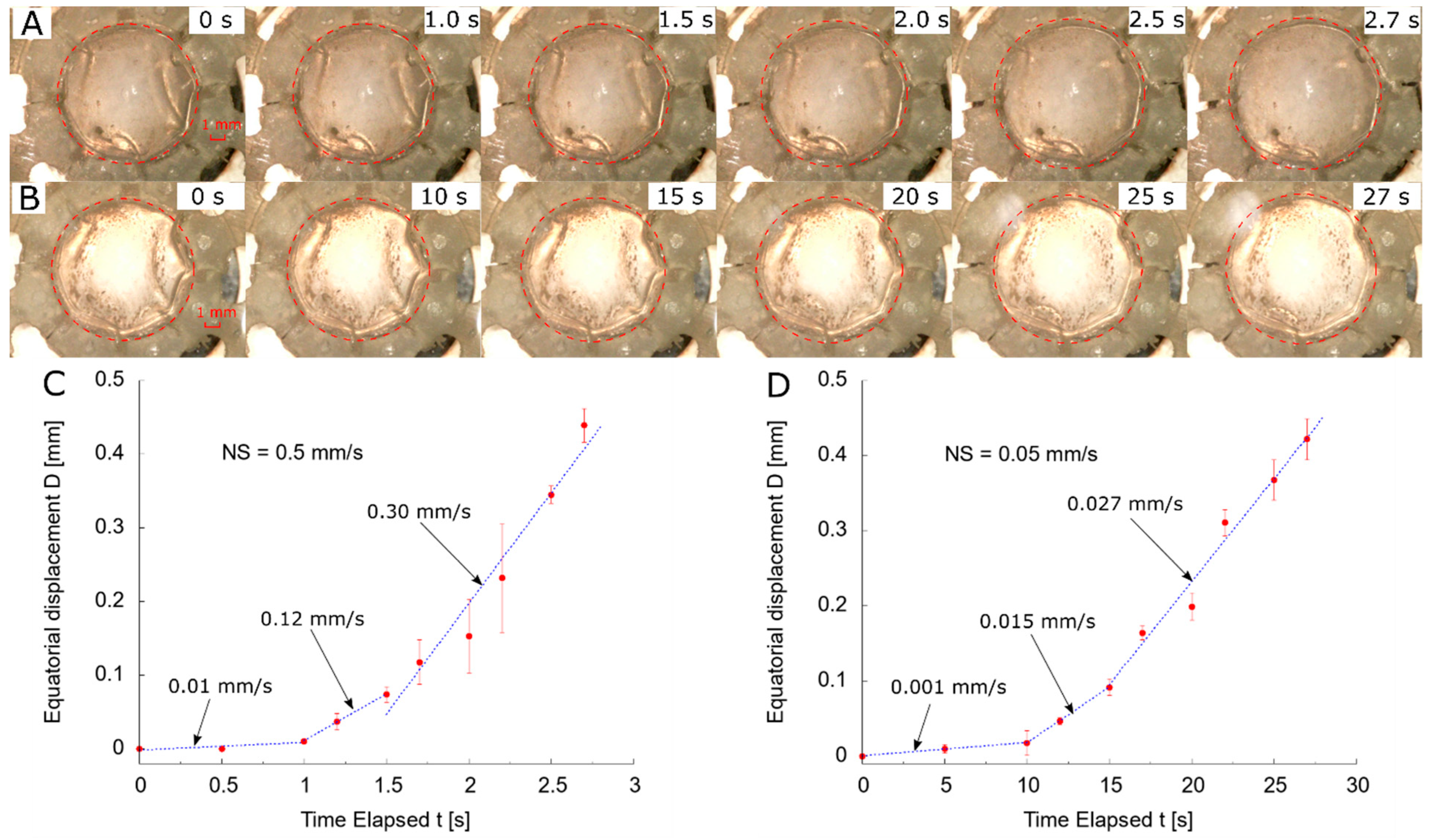 Polymers 13 03552 g005