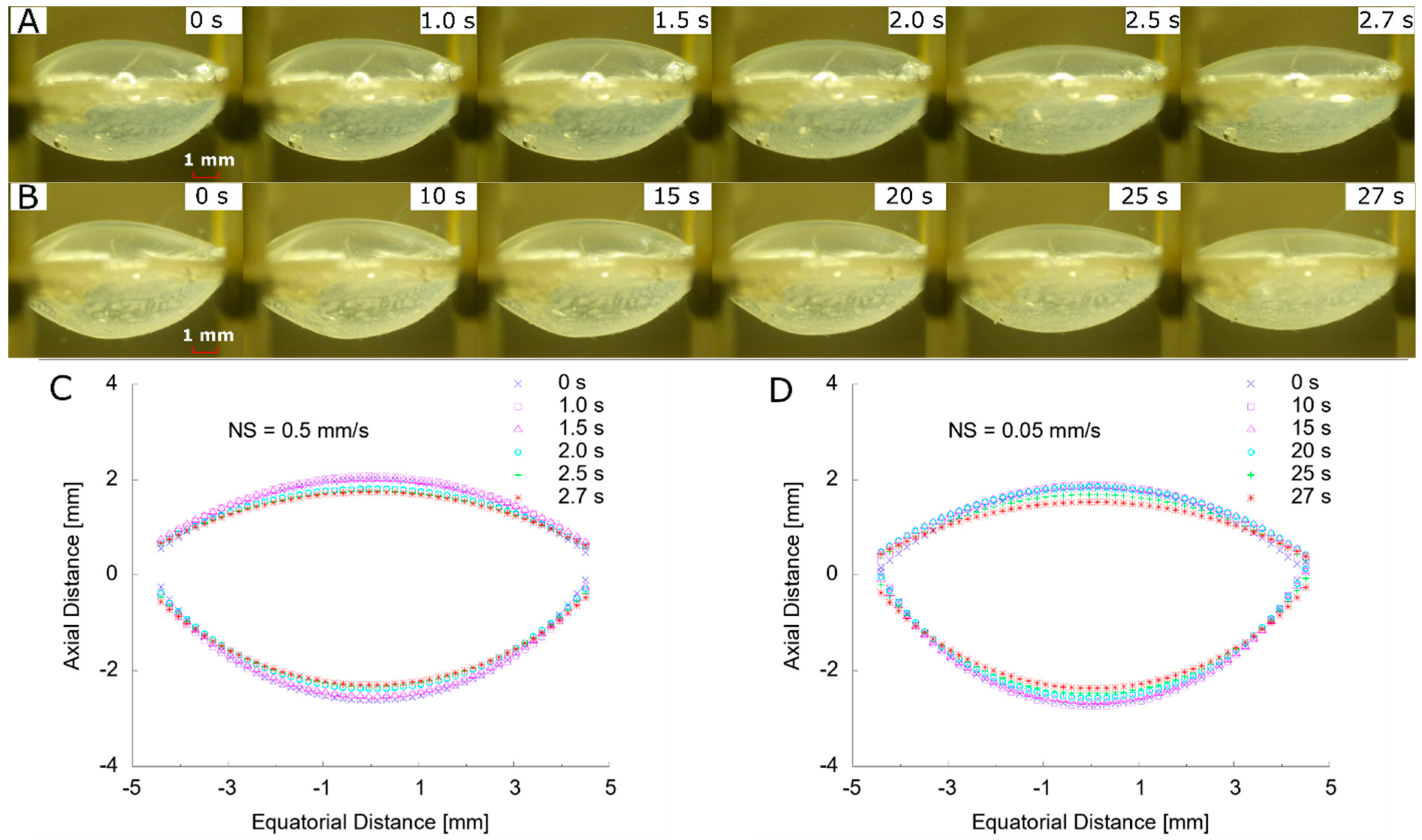 Polymers 13 03552 g006