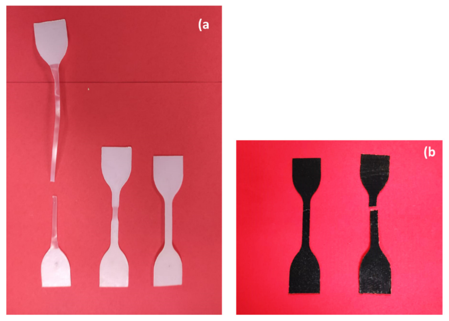 Polymers 13 03553 g006