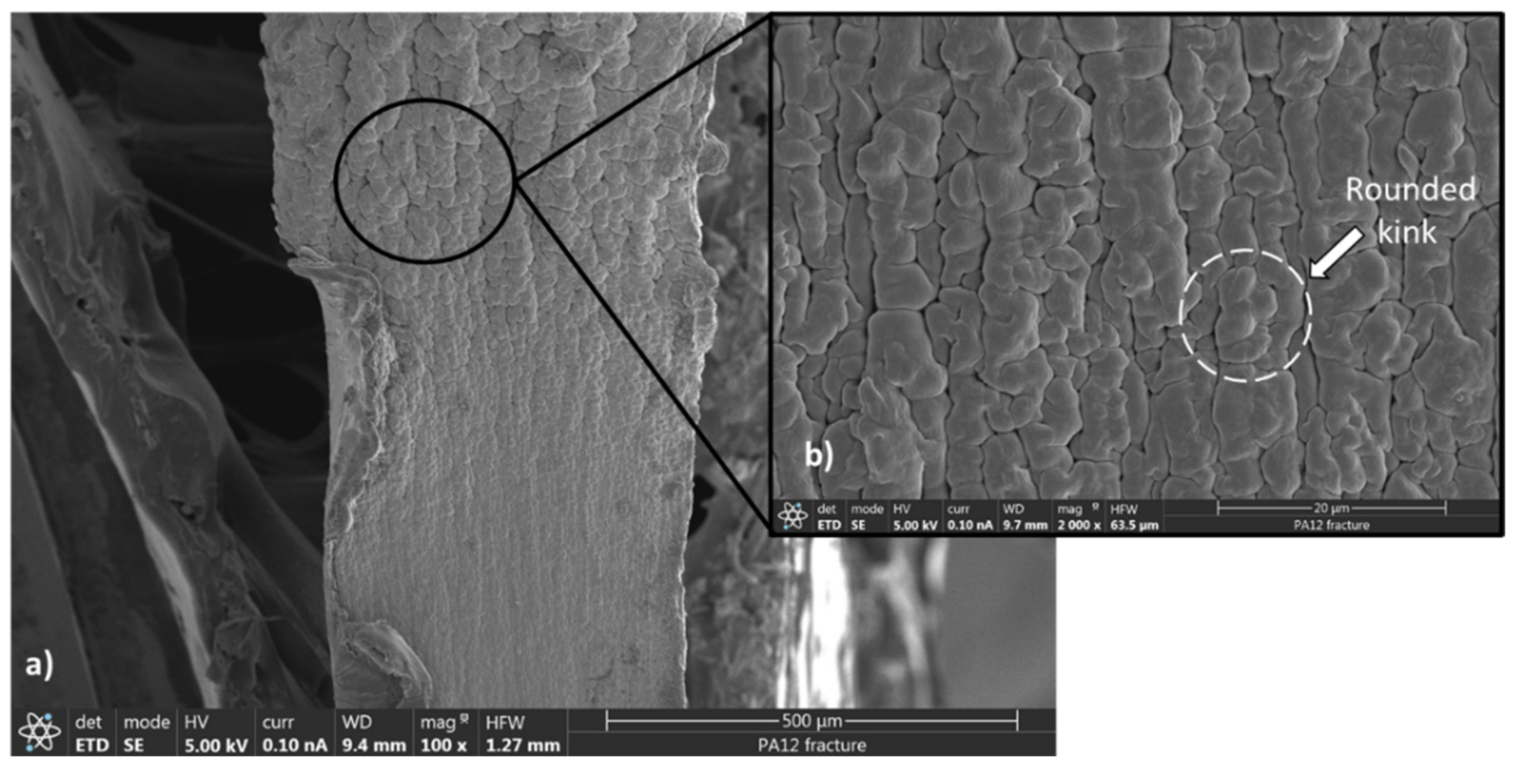 Polymers 13 03553 g007
