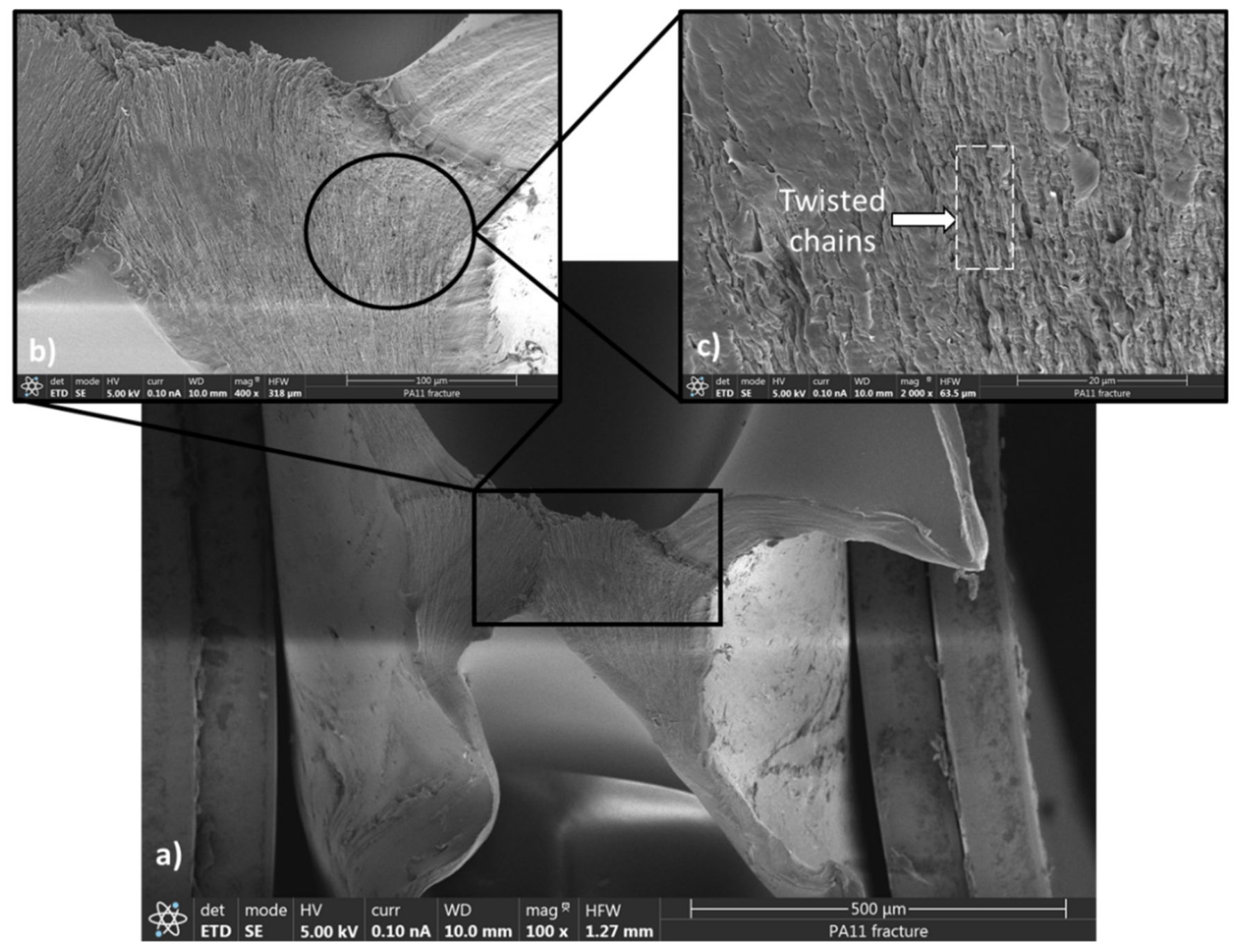 Polymers 13 03553 g008