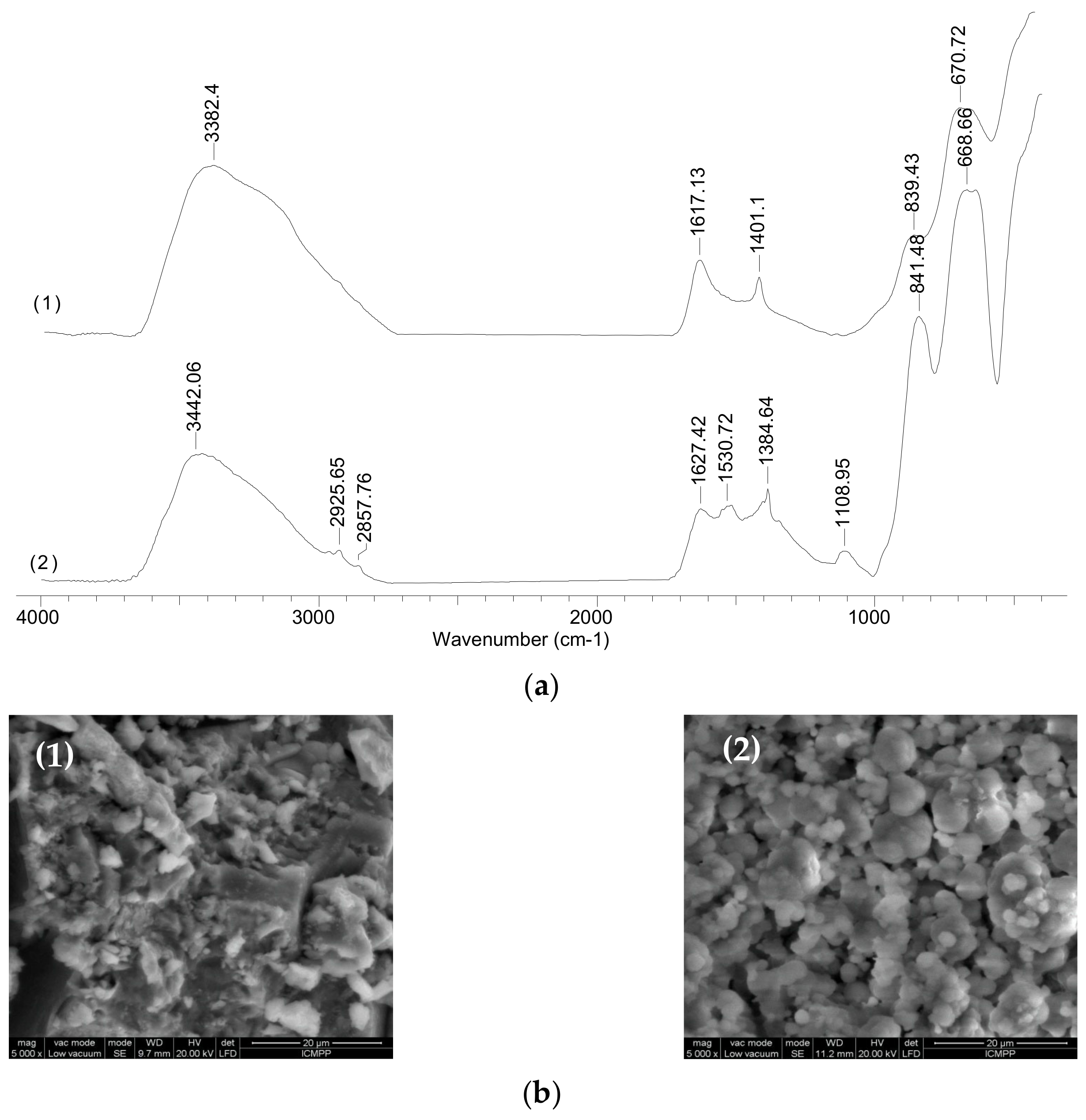 Polymers 13 03554 g001a
