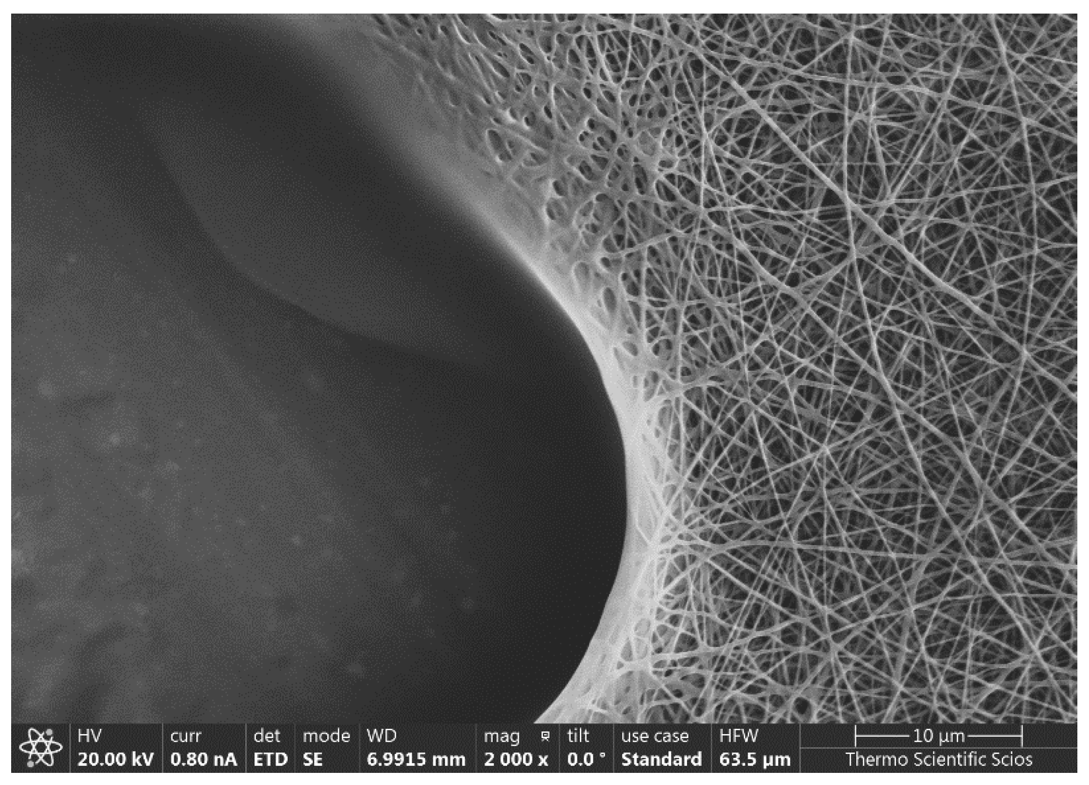 Polymers 13 03557 g006