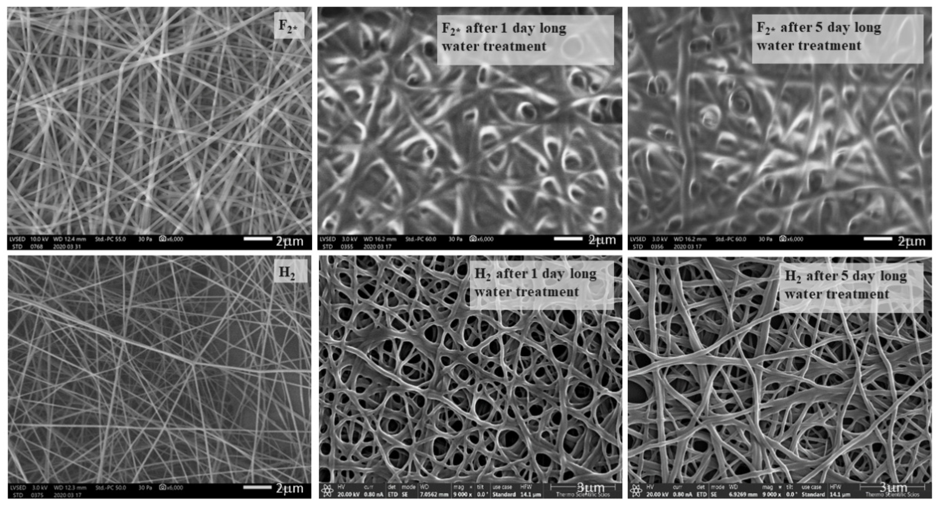 Polymers 13 03557 g008