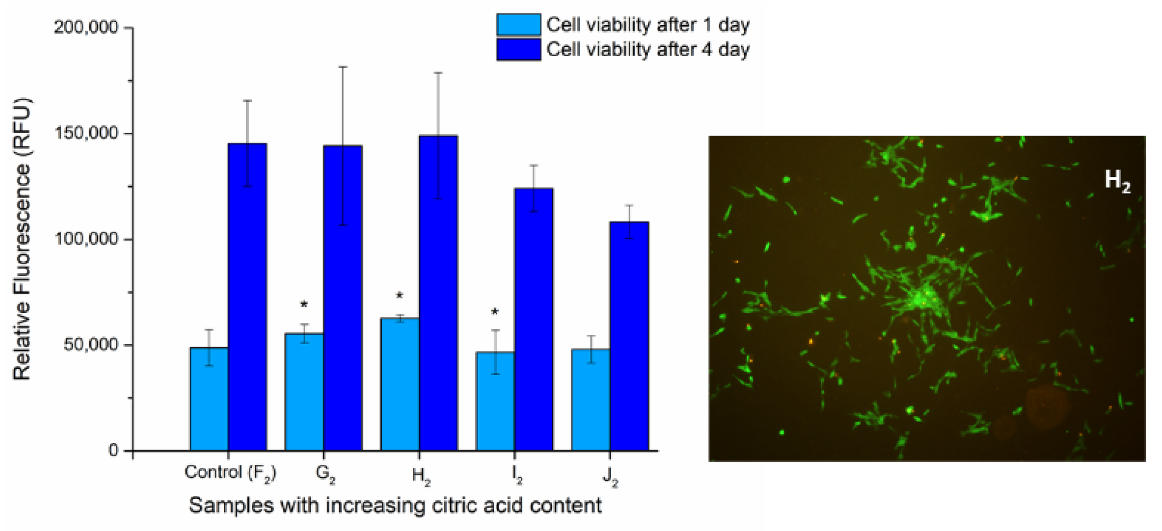Polymers 13 03557 g009
