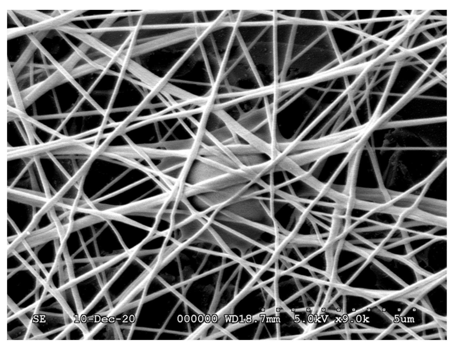 Polymers 13 03557 g010