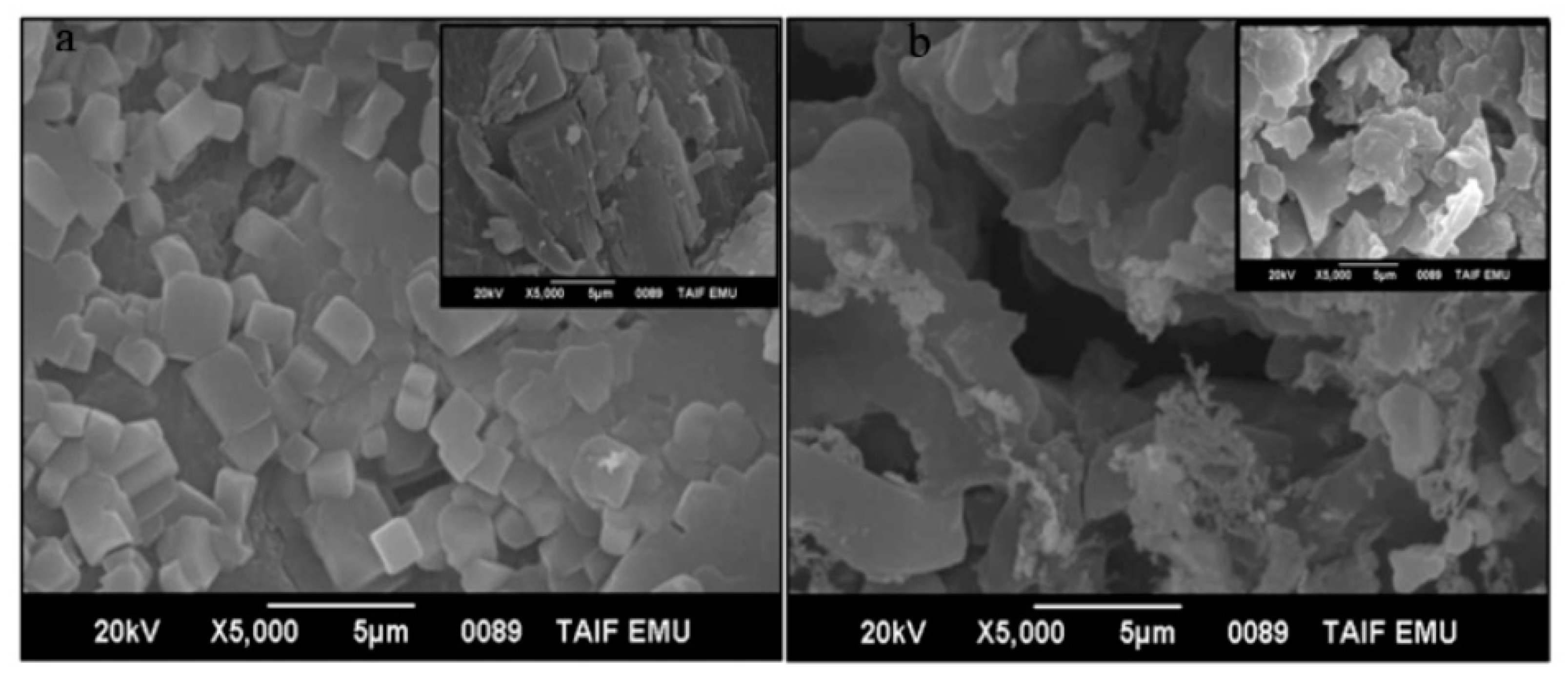 Polymers 13 03559 g004 Polymers 13 03559 g004