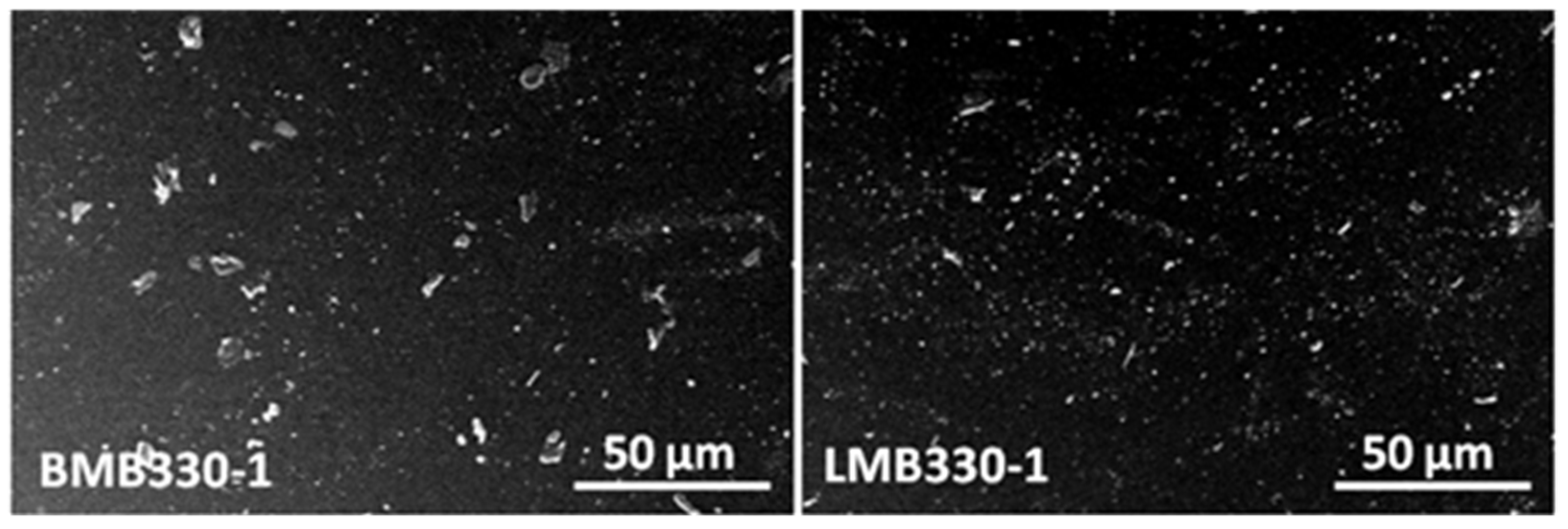 Polymers 13 03560 g008 Polymers 13 03560 g008