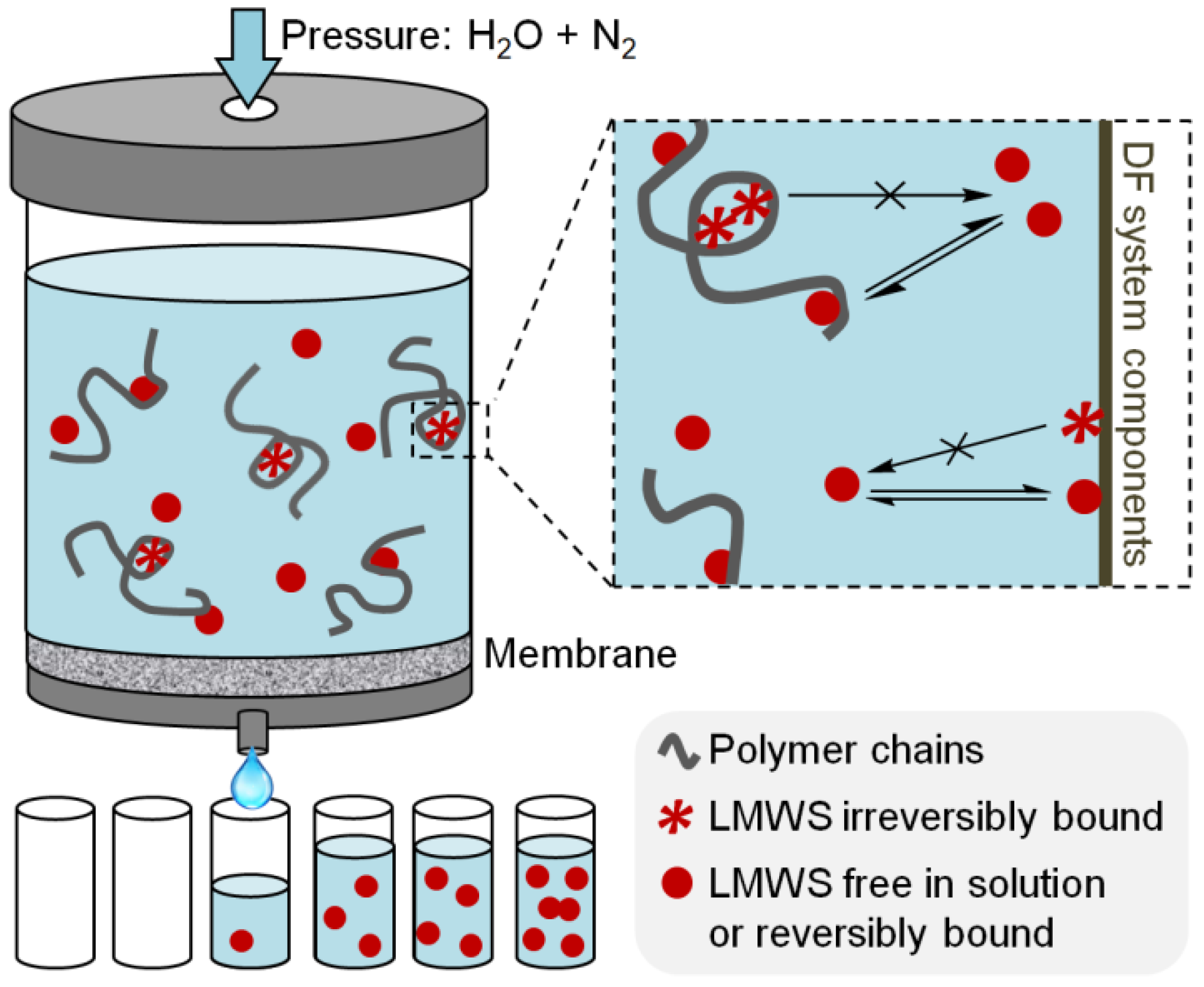 Polymers 13 03563 g001