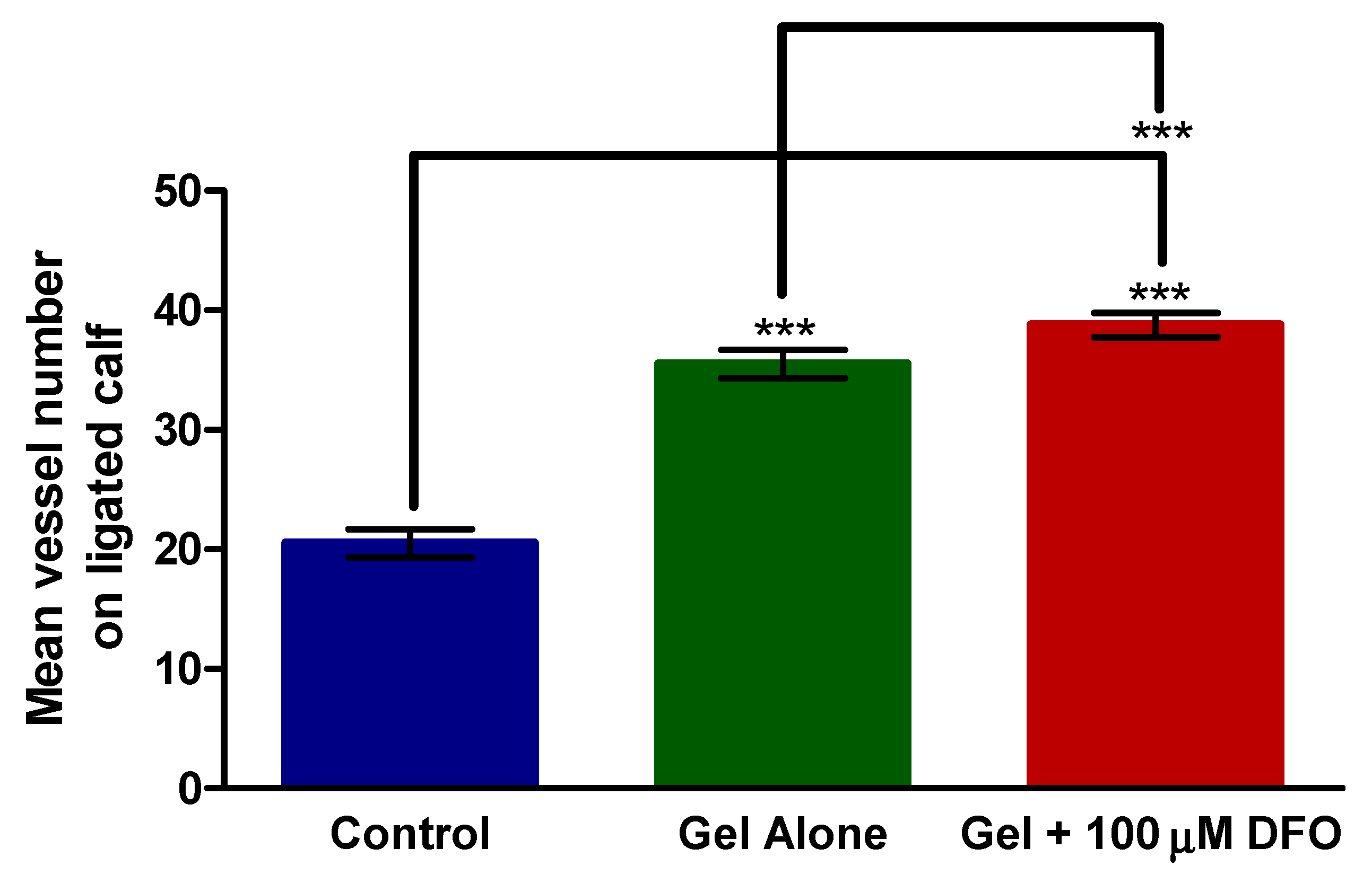 Polymers 13 03568 g005