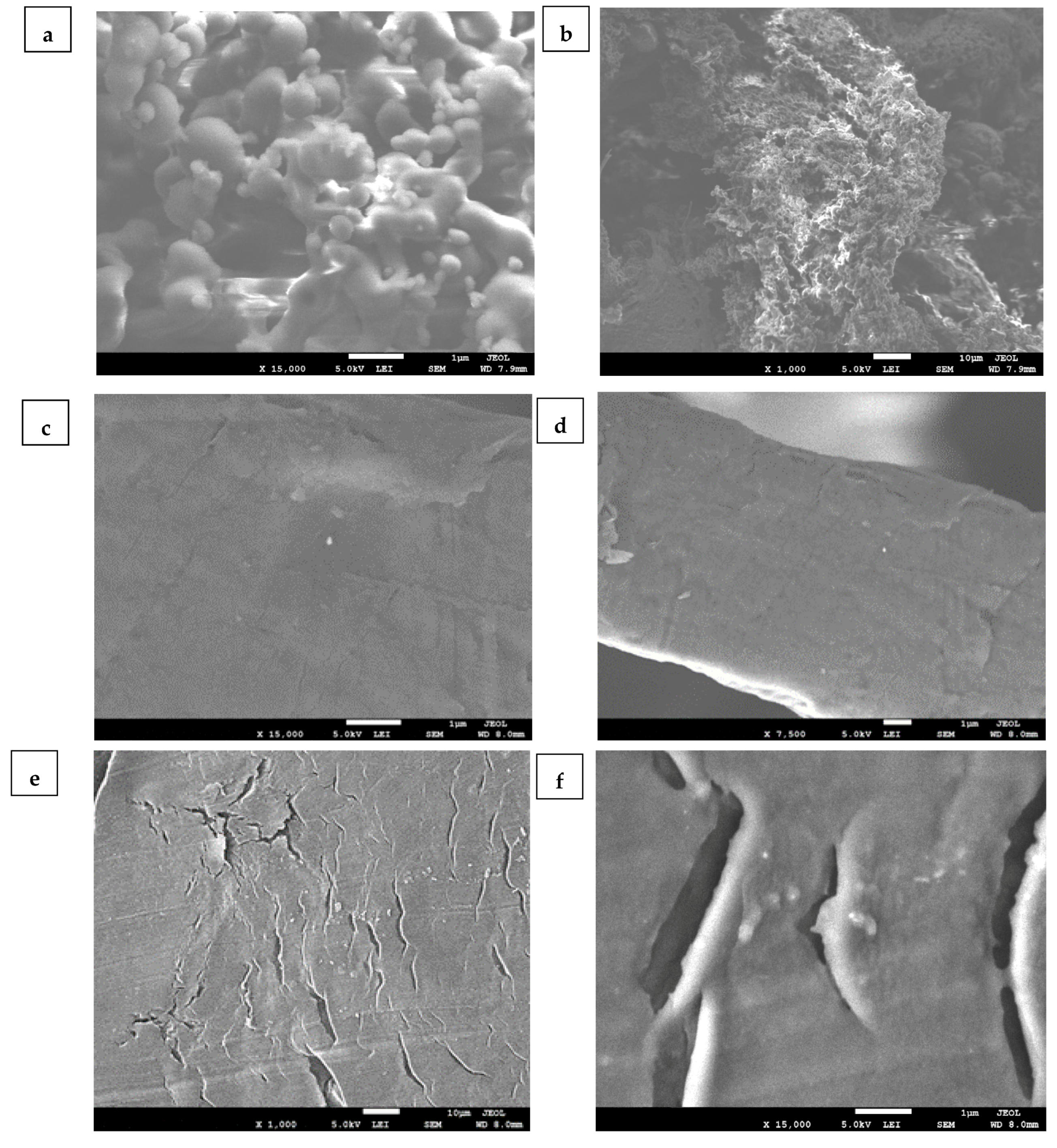 Polymers 13 03569 g003a