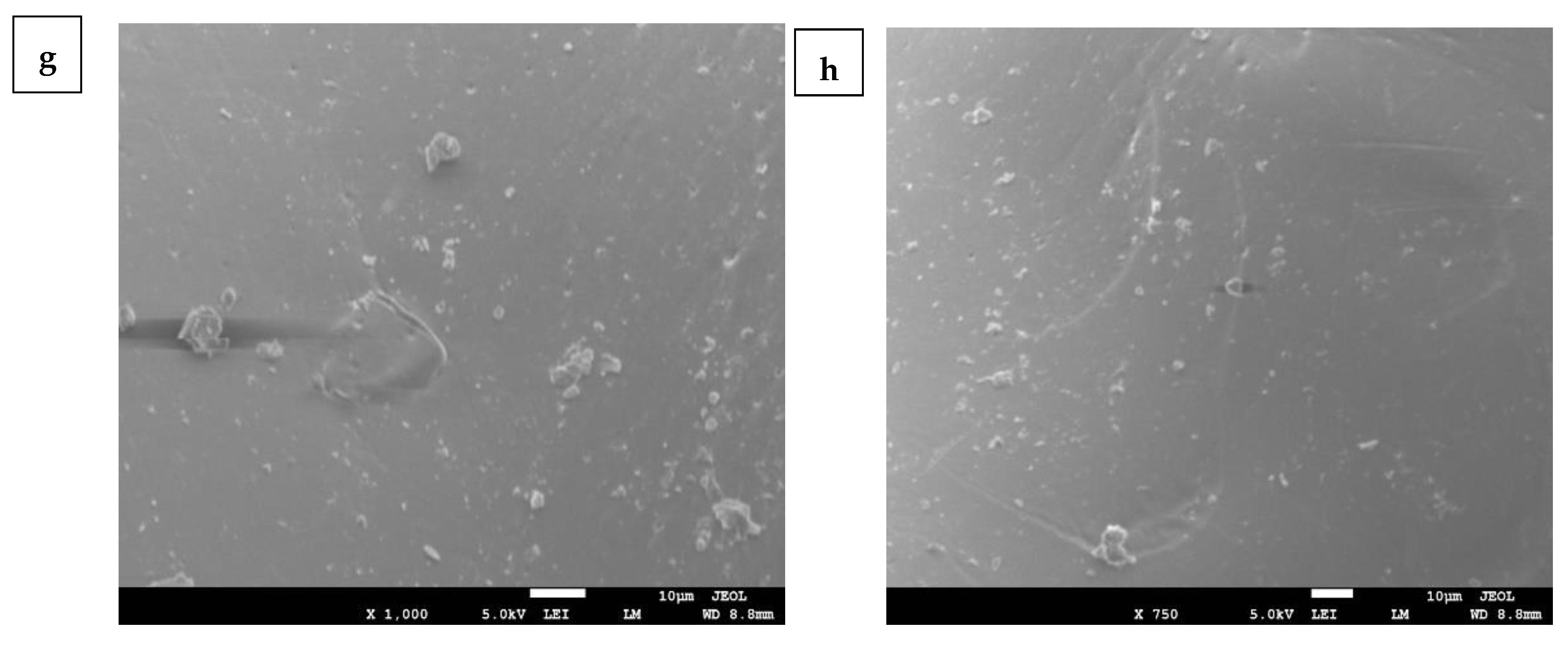 Polymers 13 03569 g003b