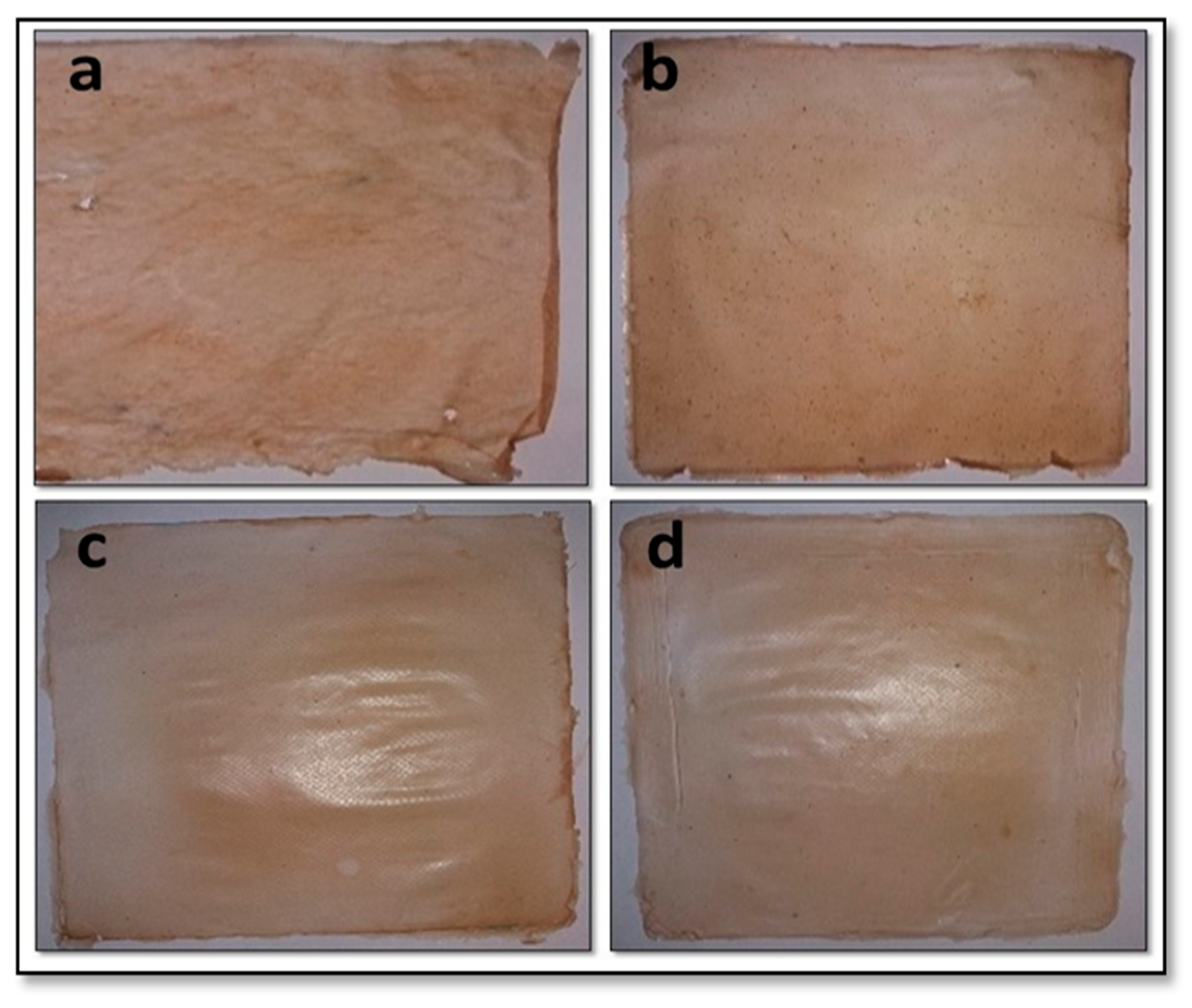 Polymers 13 03570 g001